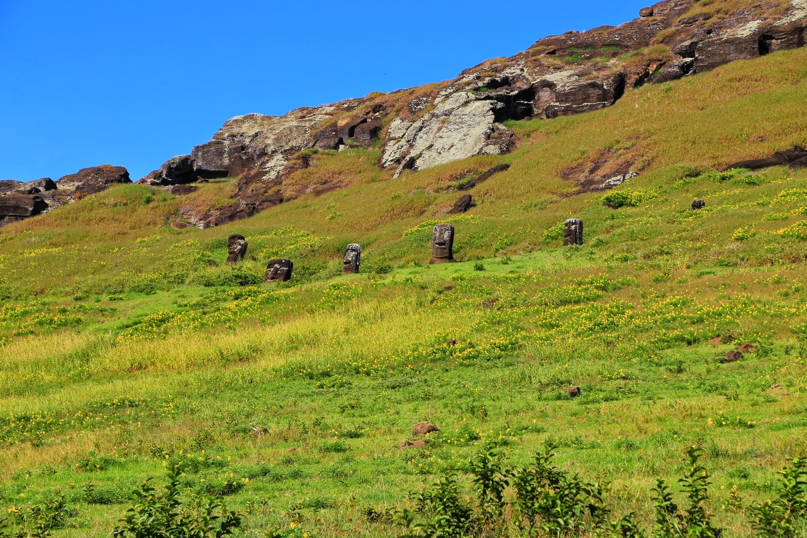 Moai dans le cratère