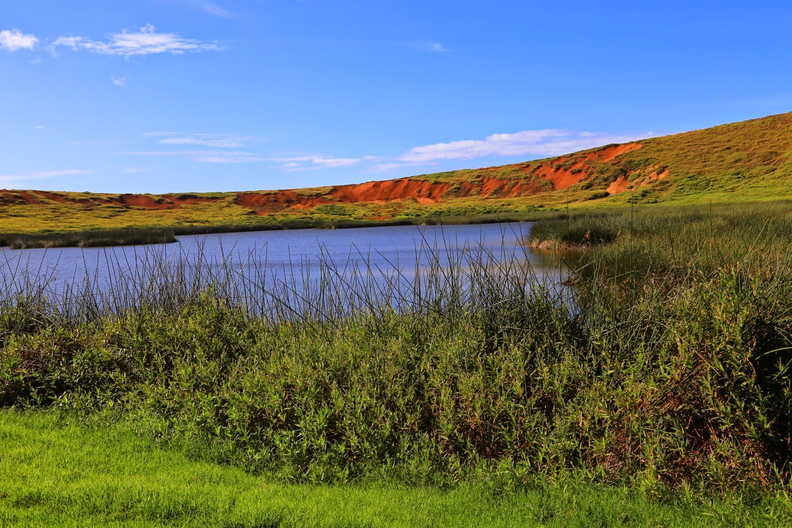 Lac au fond du cratère du Rano Raraku