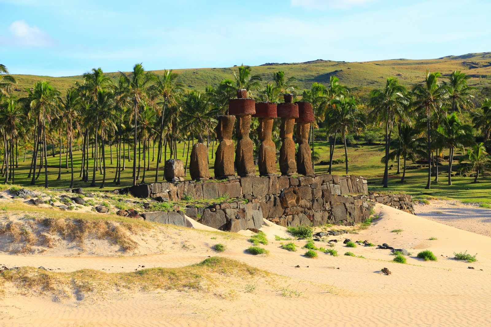 Moai d’Ahu Nau Nau au milieu des cocotiers