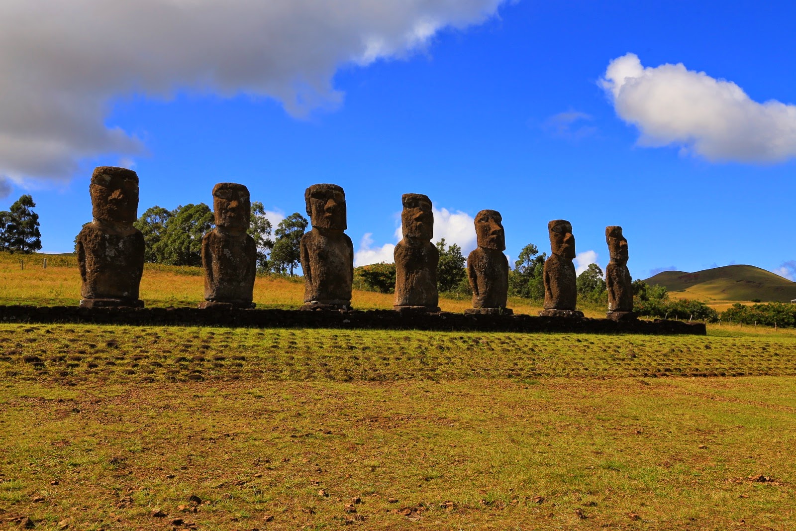 Les 7 moai d’Ahu Akivi
