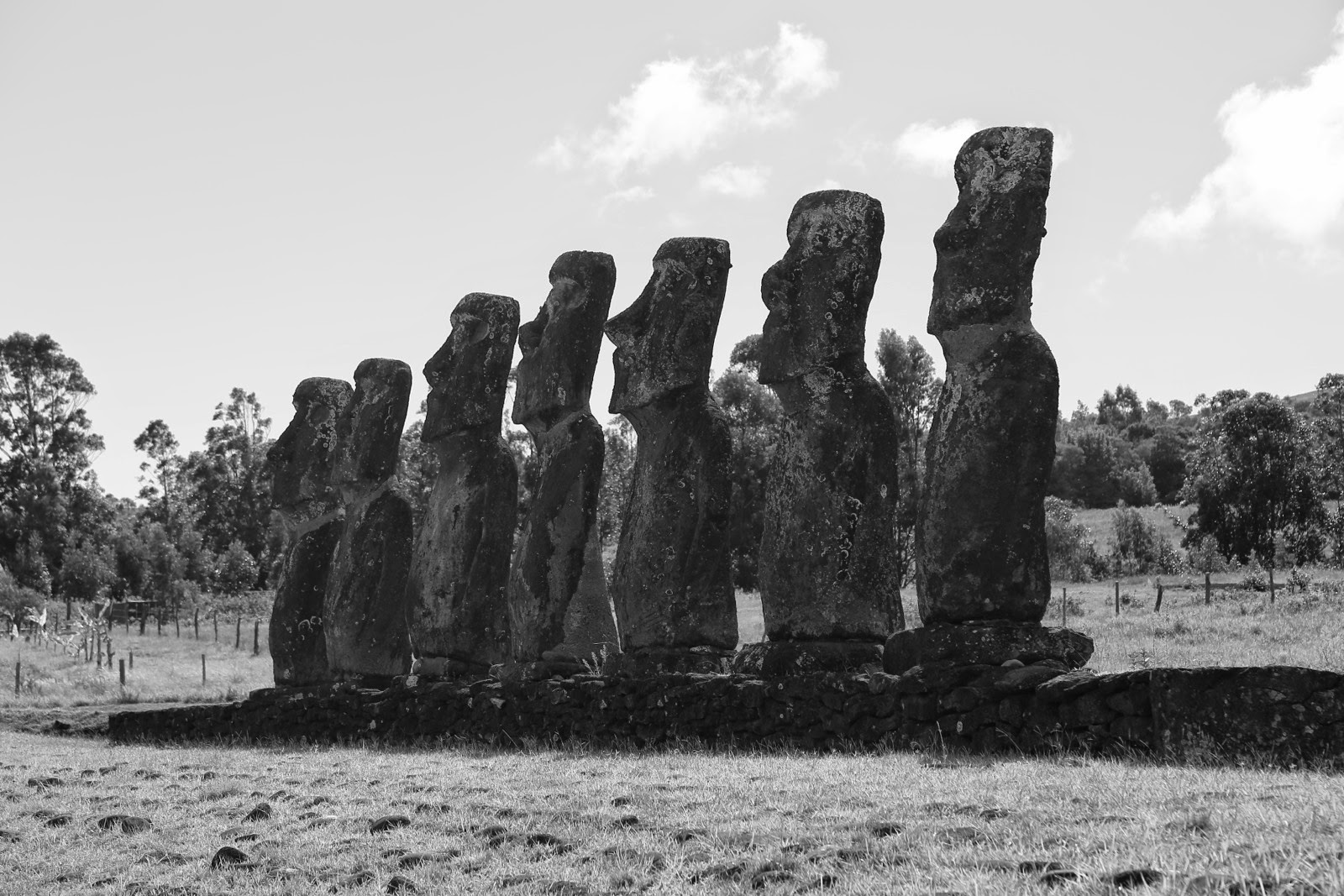 Moai d’Ahu Akivi en noir et blanc