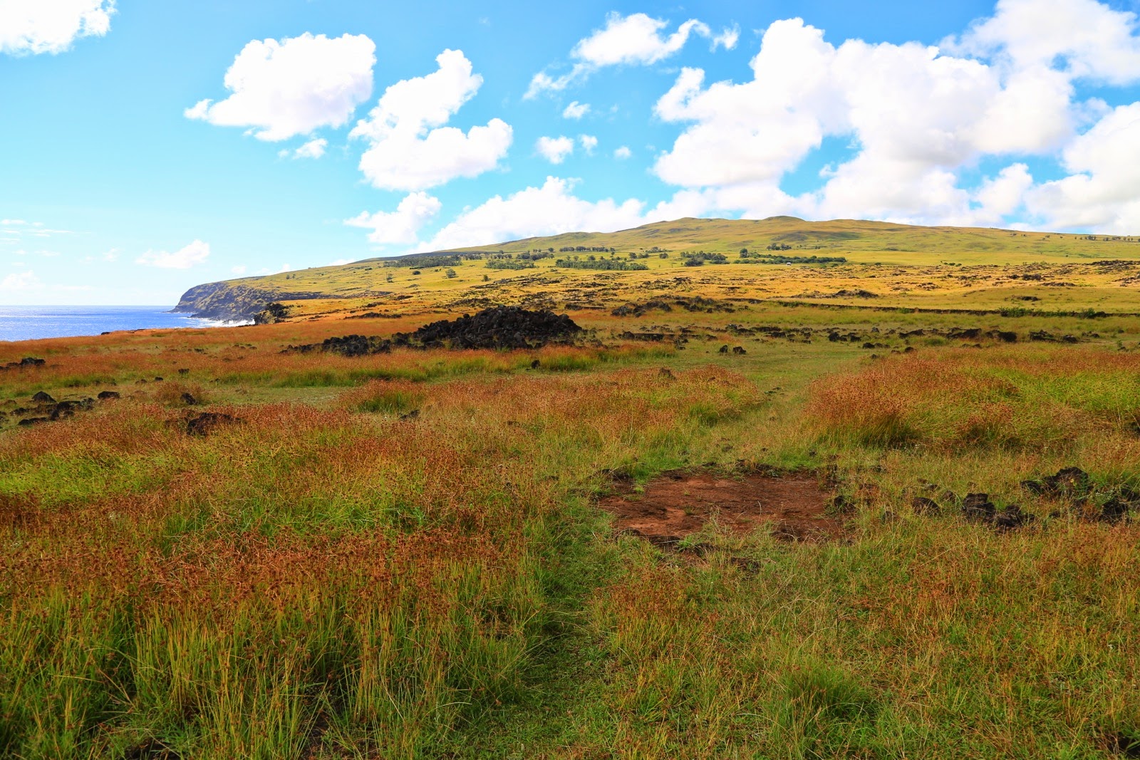 Prairie au bord de la falaise