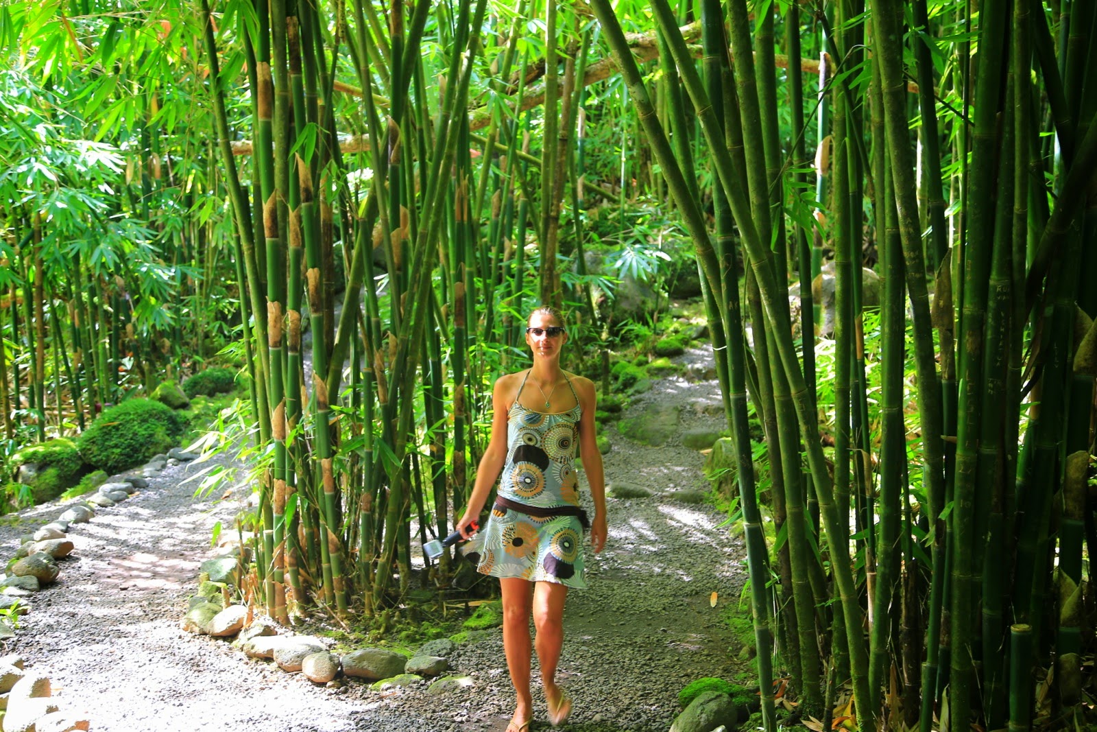 Sentier au milieu des bambous