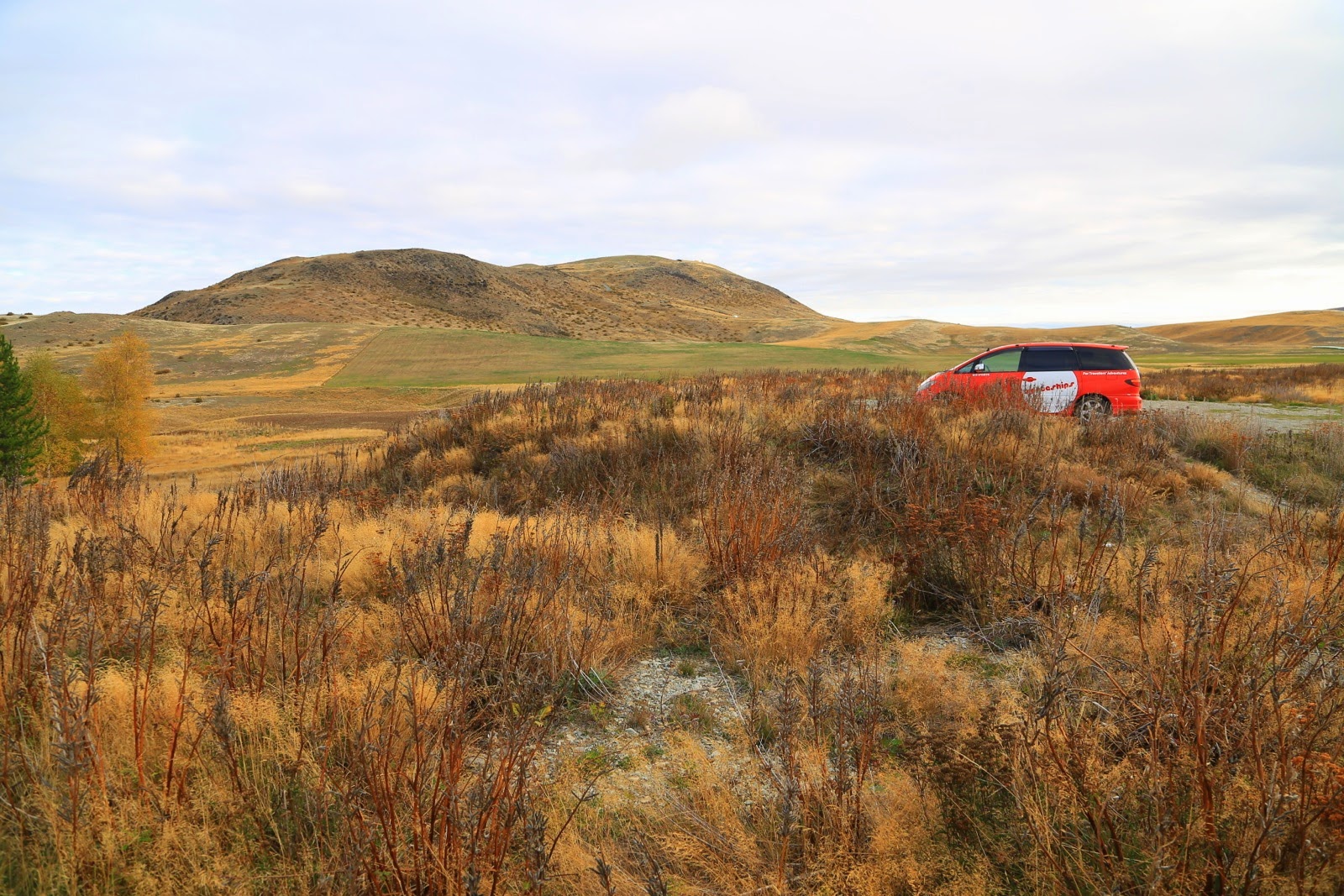 Notre campervan dans les herbes hautes