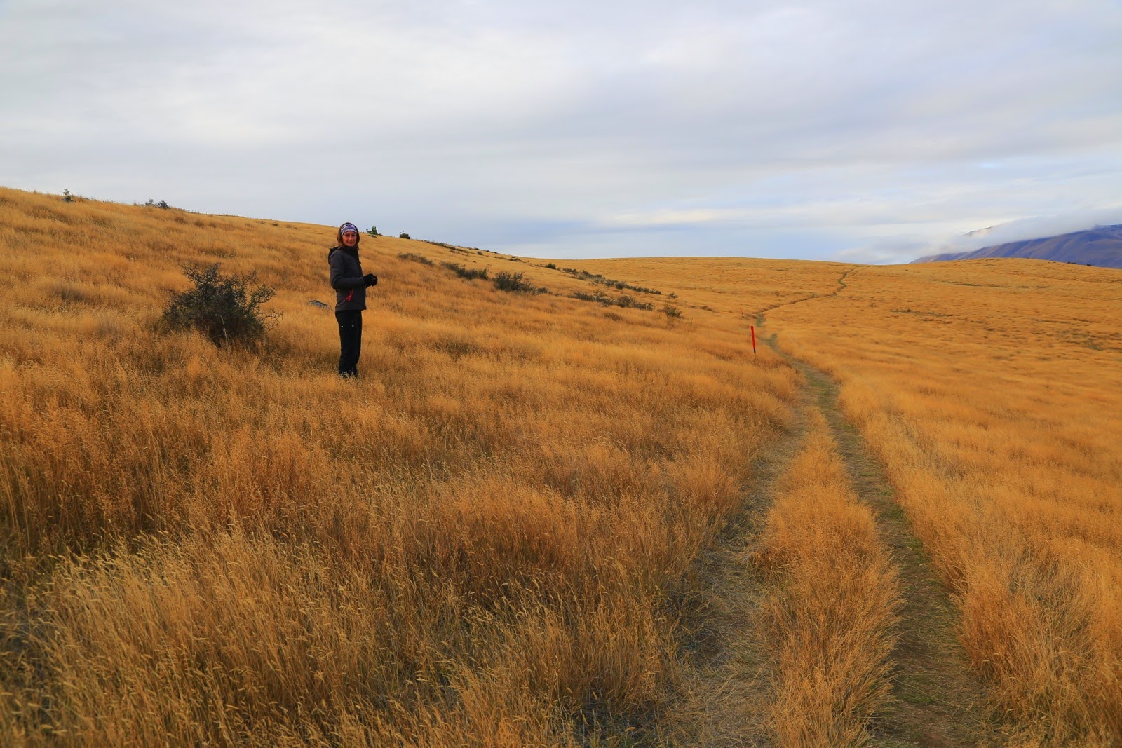 Marche dans les herbes de la péninsule