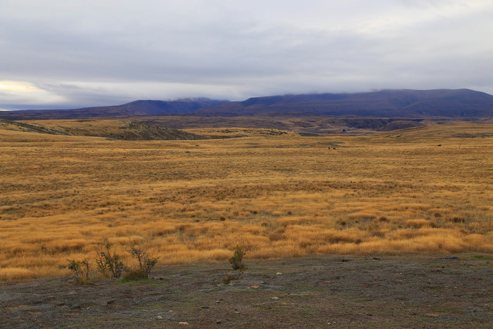 Plaine et montagnes au loin