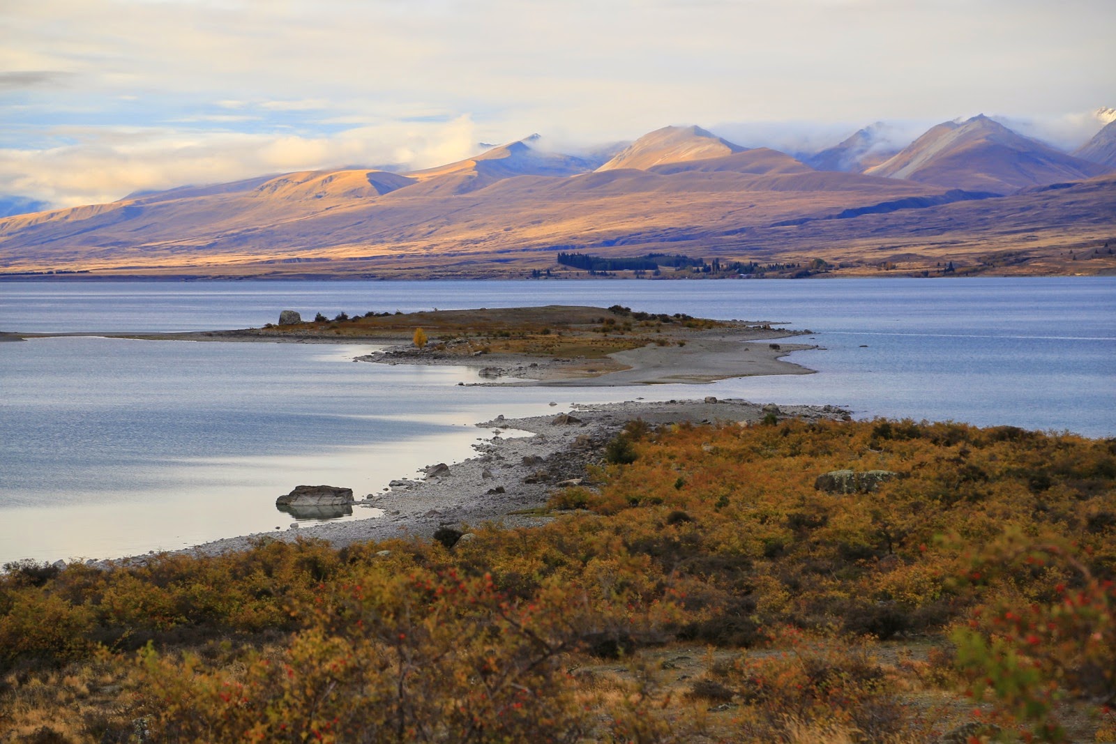 Île et montagnes du Lac Tekapo