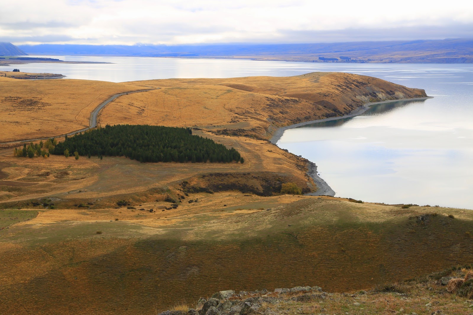 Presqu’île boisée sur le lac