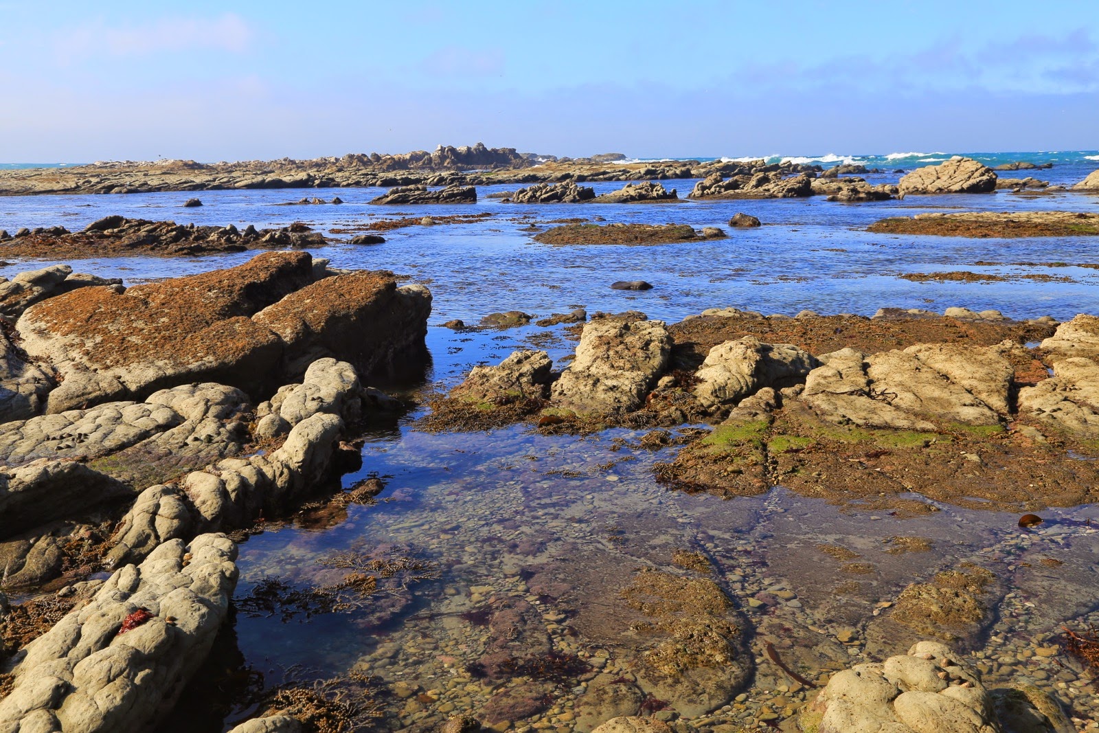 Côte rocheuse de la péninsule de Kaikoura