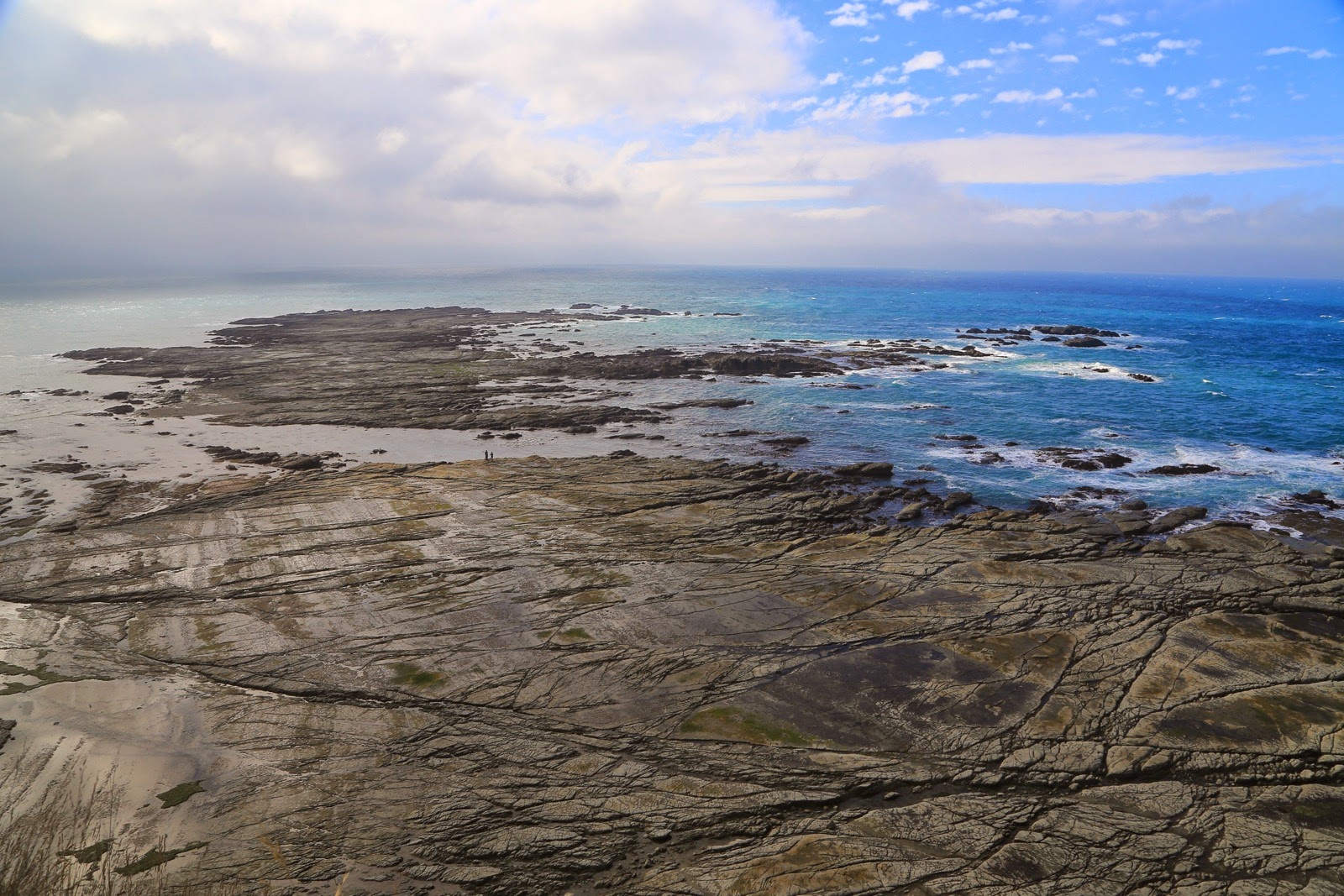 Plateau rocheux à marée basse