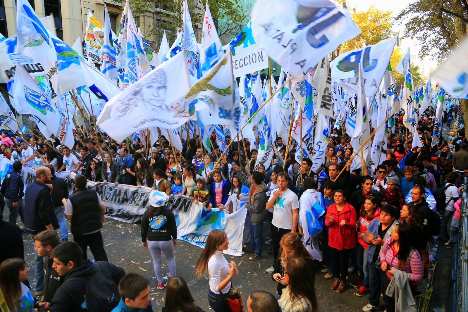 Marée de drapeaux bleus et blancs