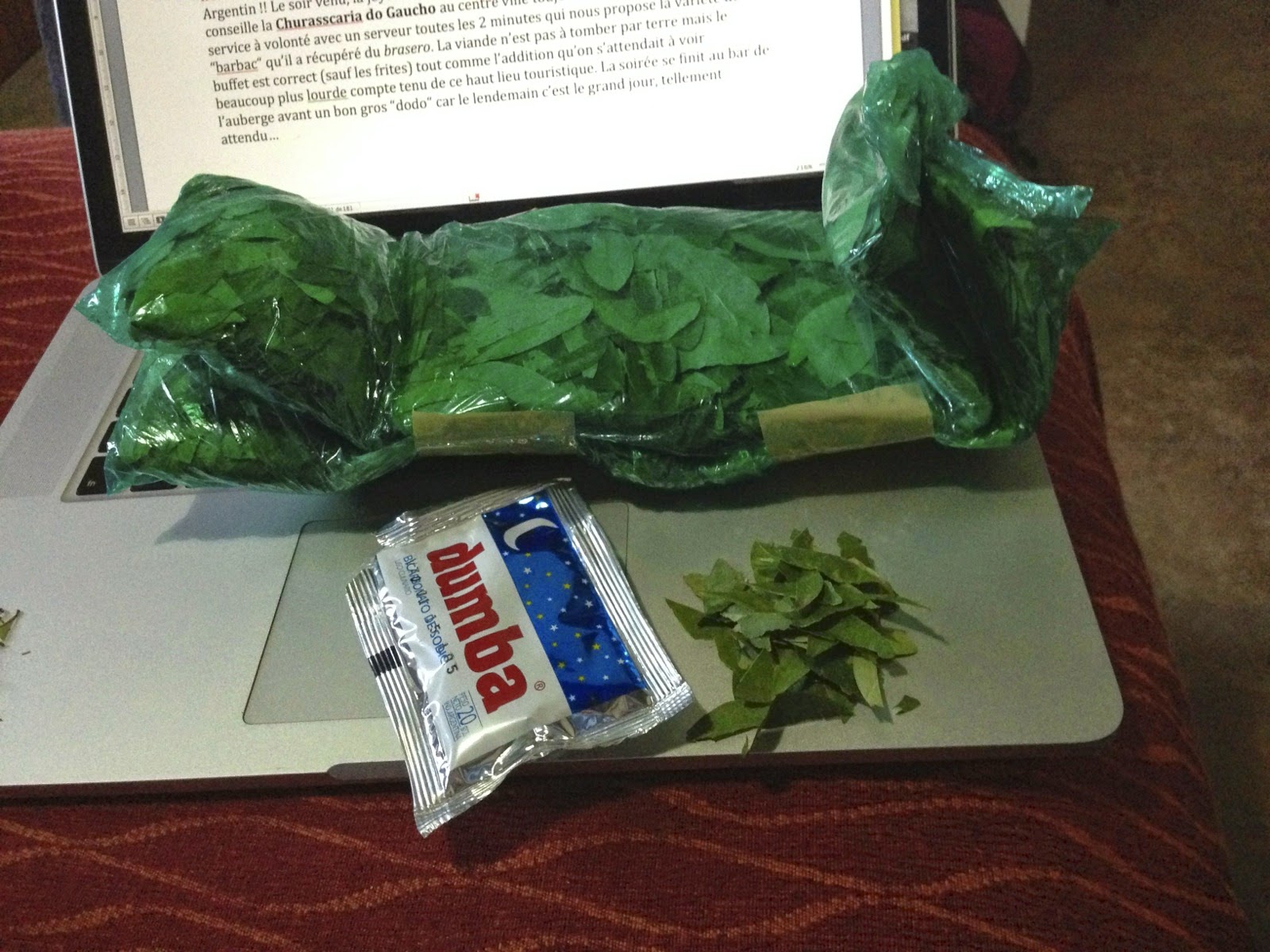 Feuilles de coca et bicarbonate