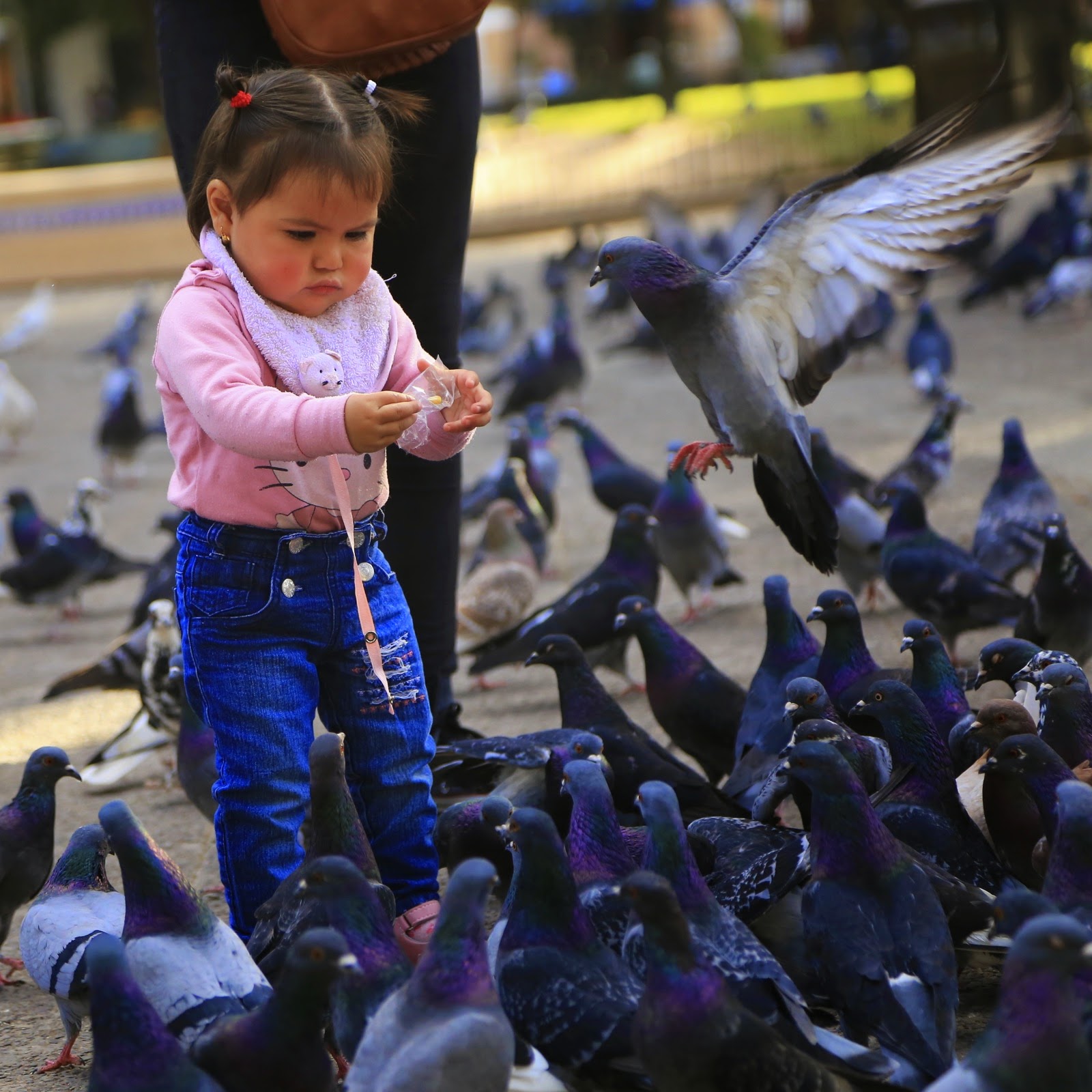 Enfant au milieu des pigeons