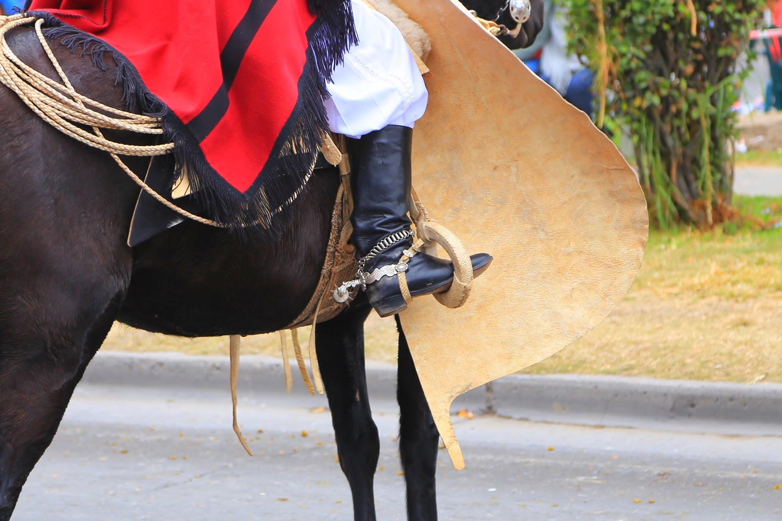 Gaucho et sa monture en gros plan