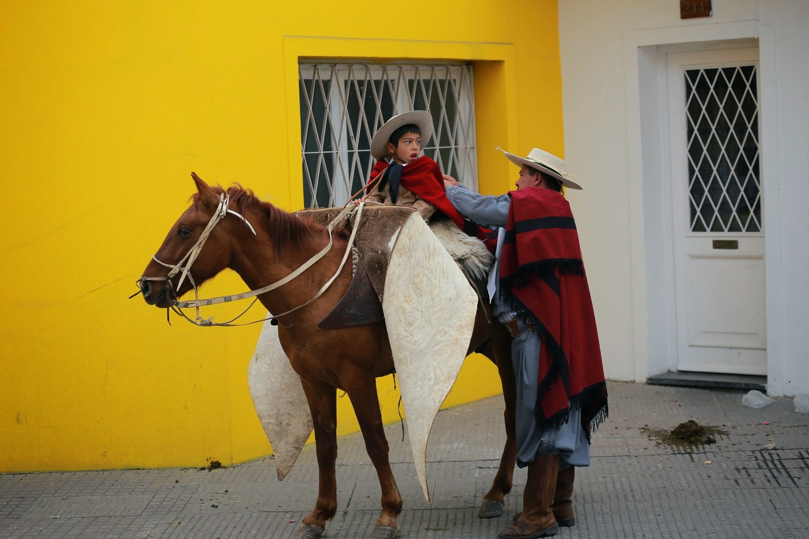 Cheval devant un mur jaune