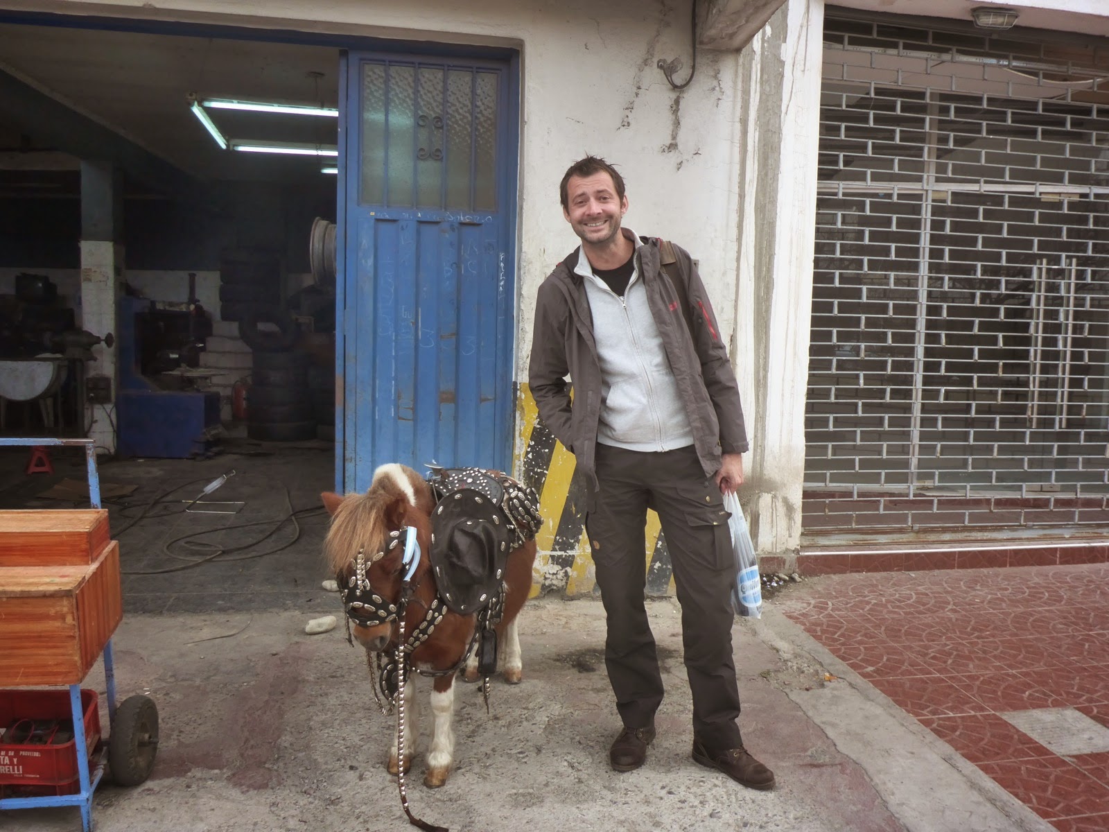 Homme et son mini cheval