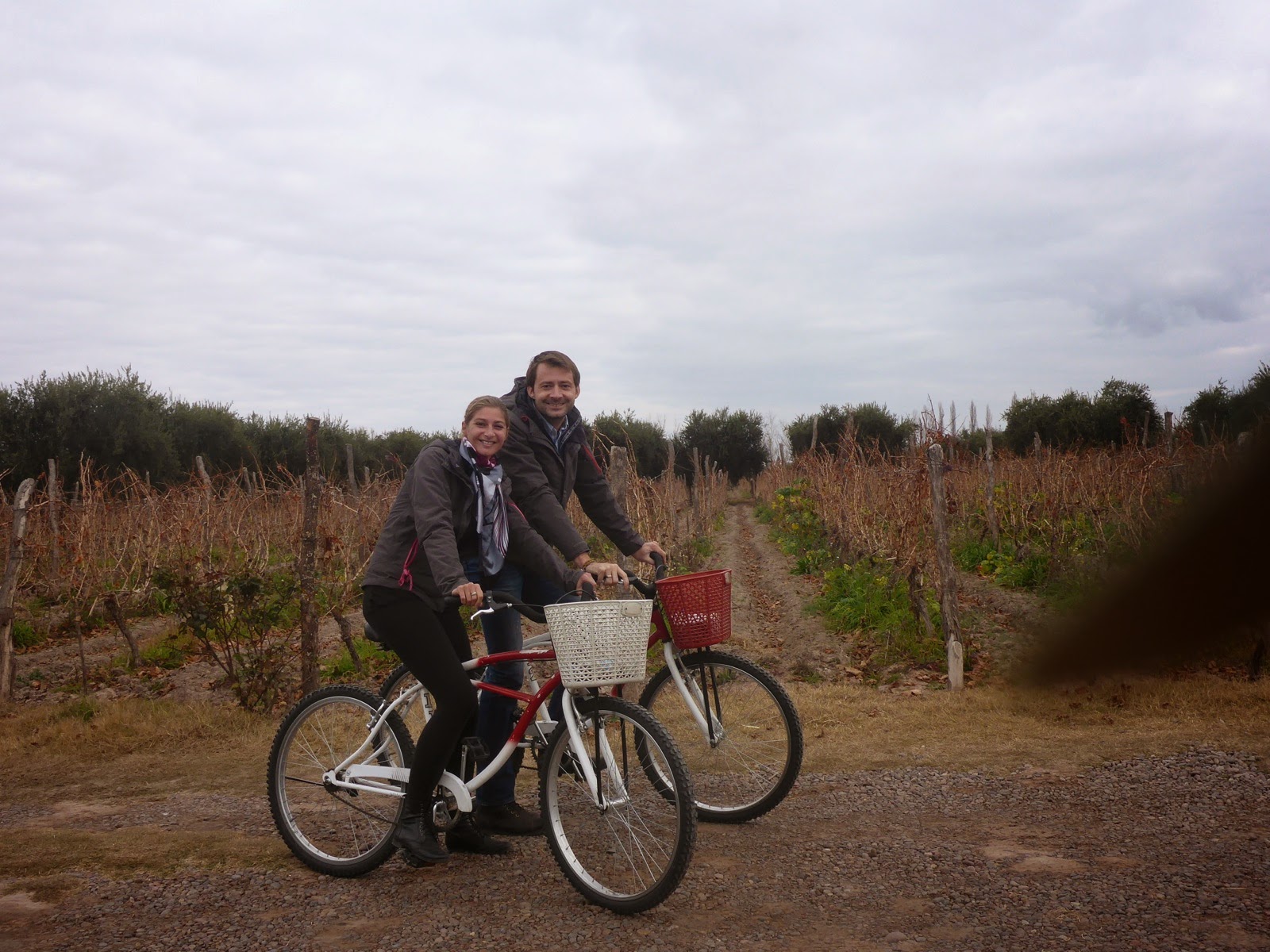 À vélo entre les vignes de Maipu