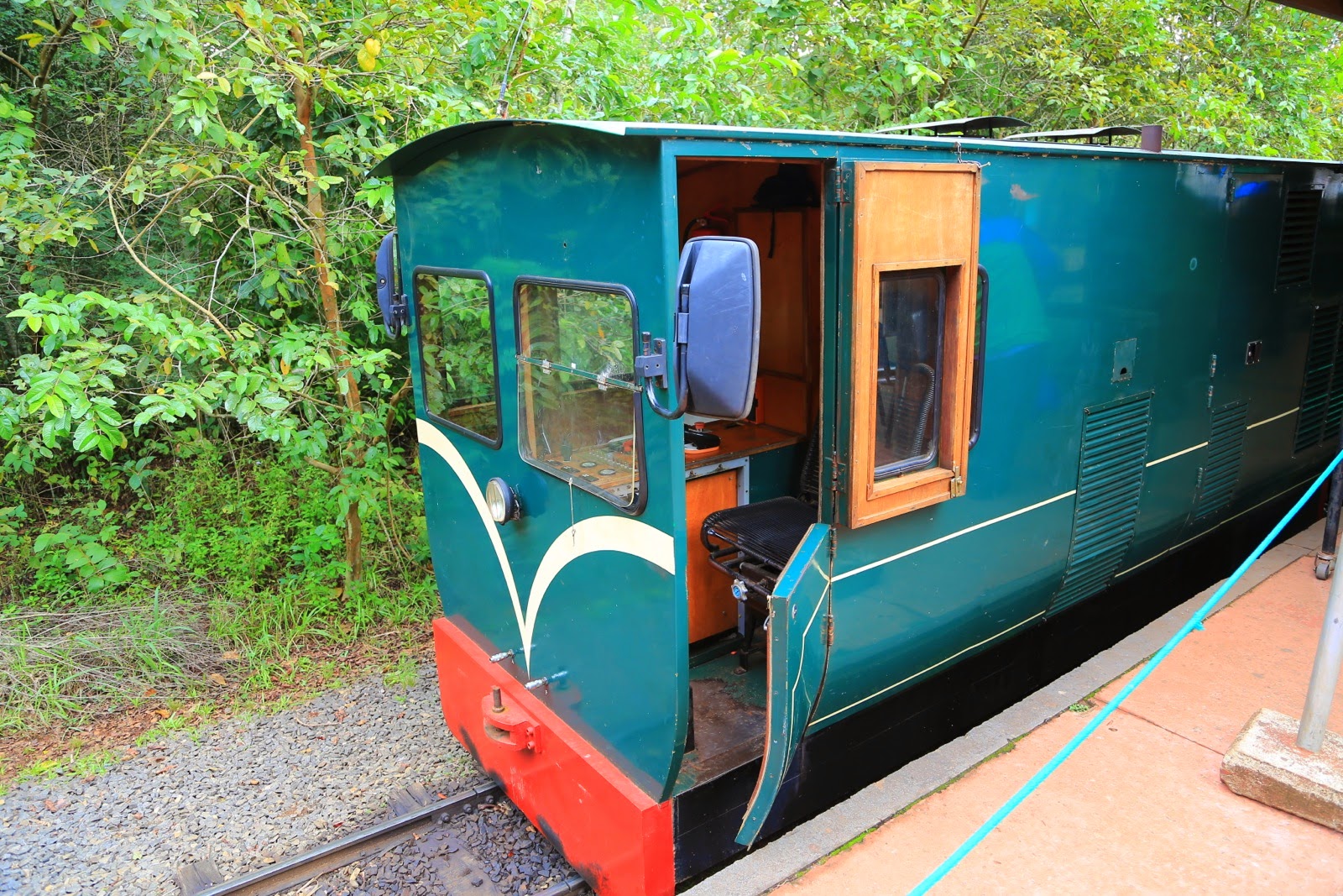 Petit train de la jungle dans le parc