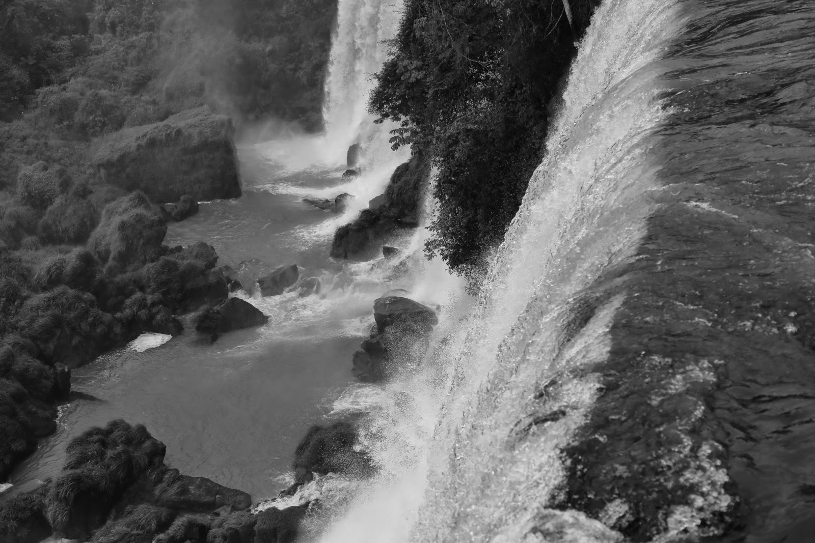 Jungle et cascades en noir et blanc