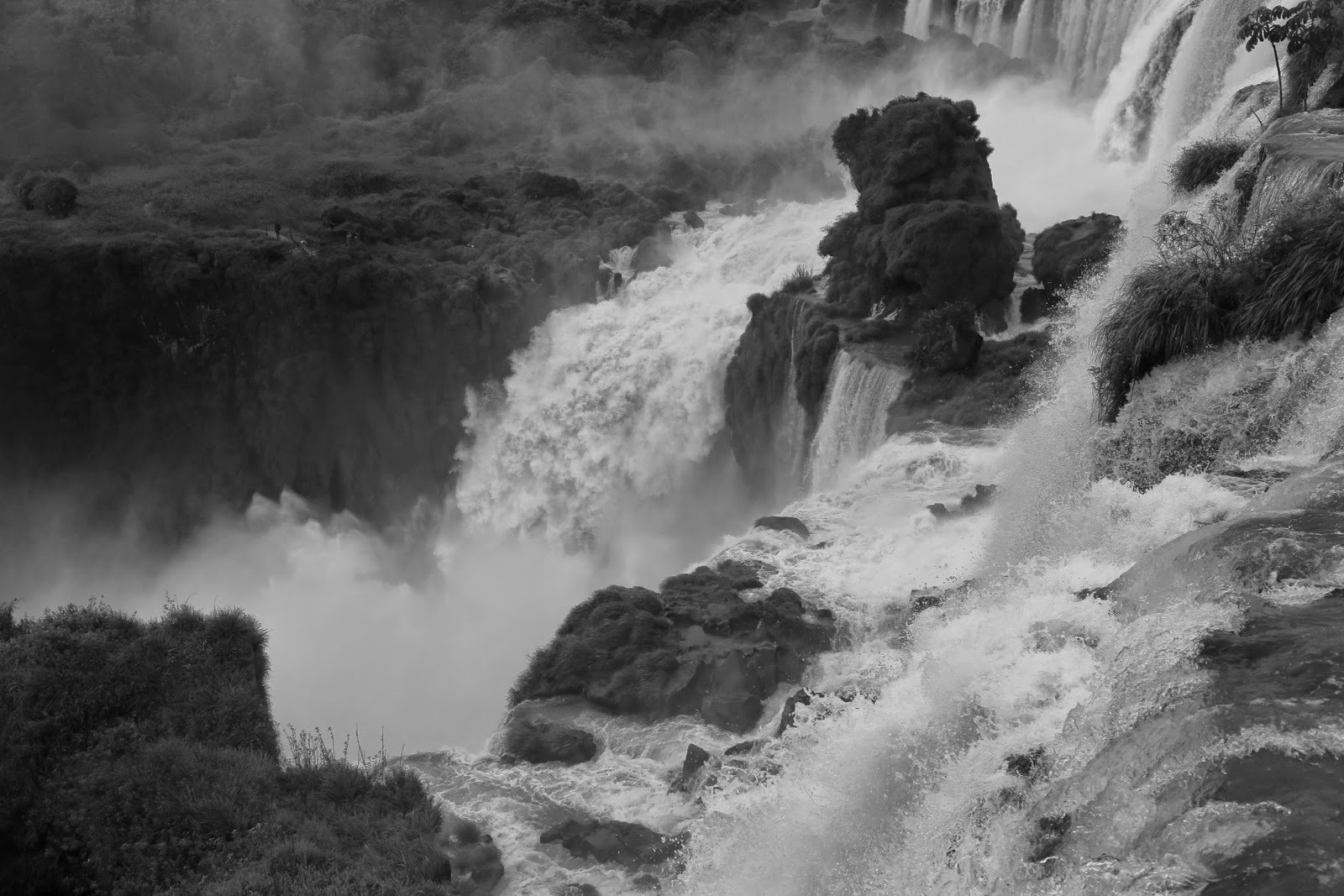 Cascade dans la végétation, noir et blanc