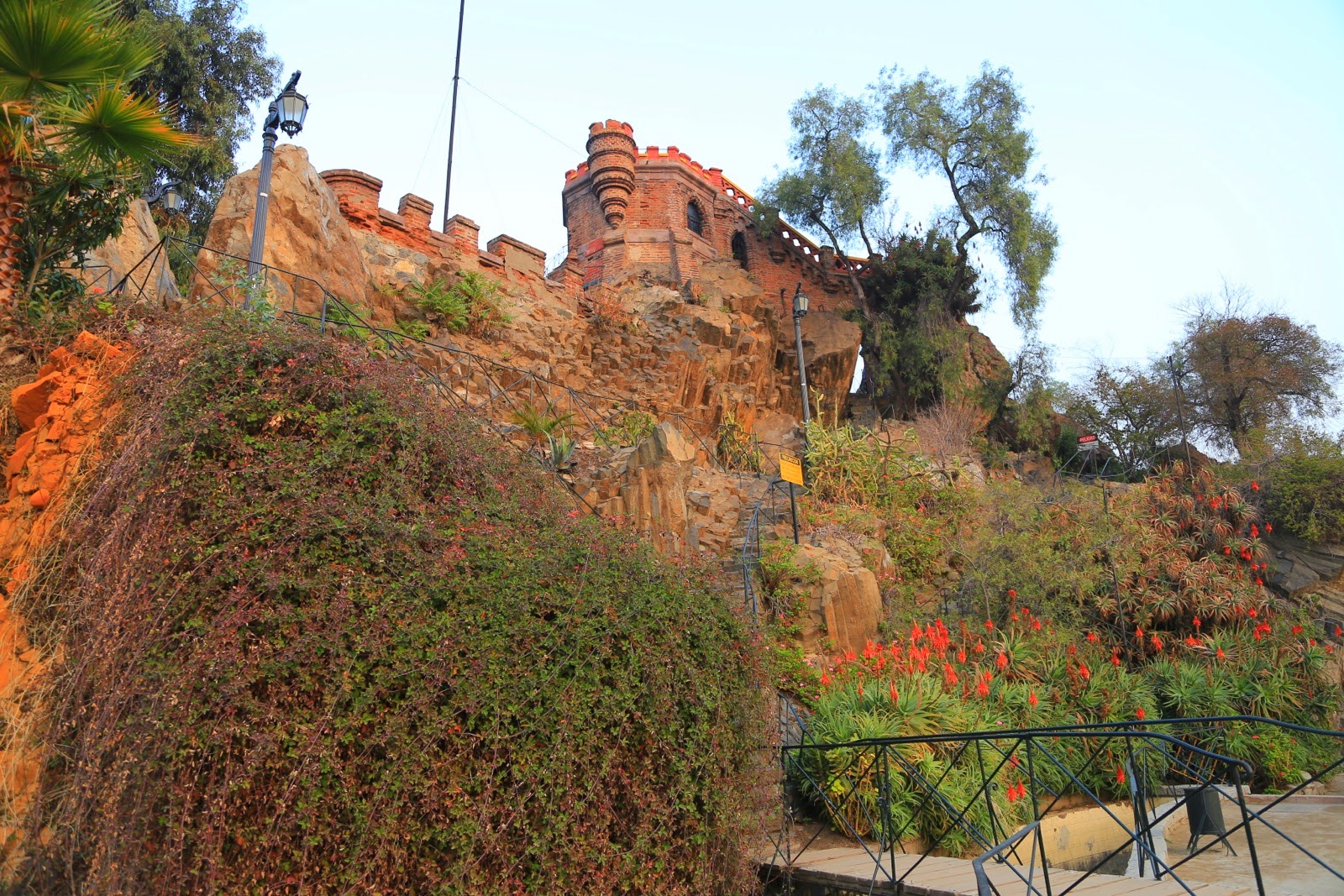 Végétation sur les remparts du cerro