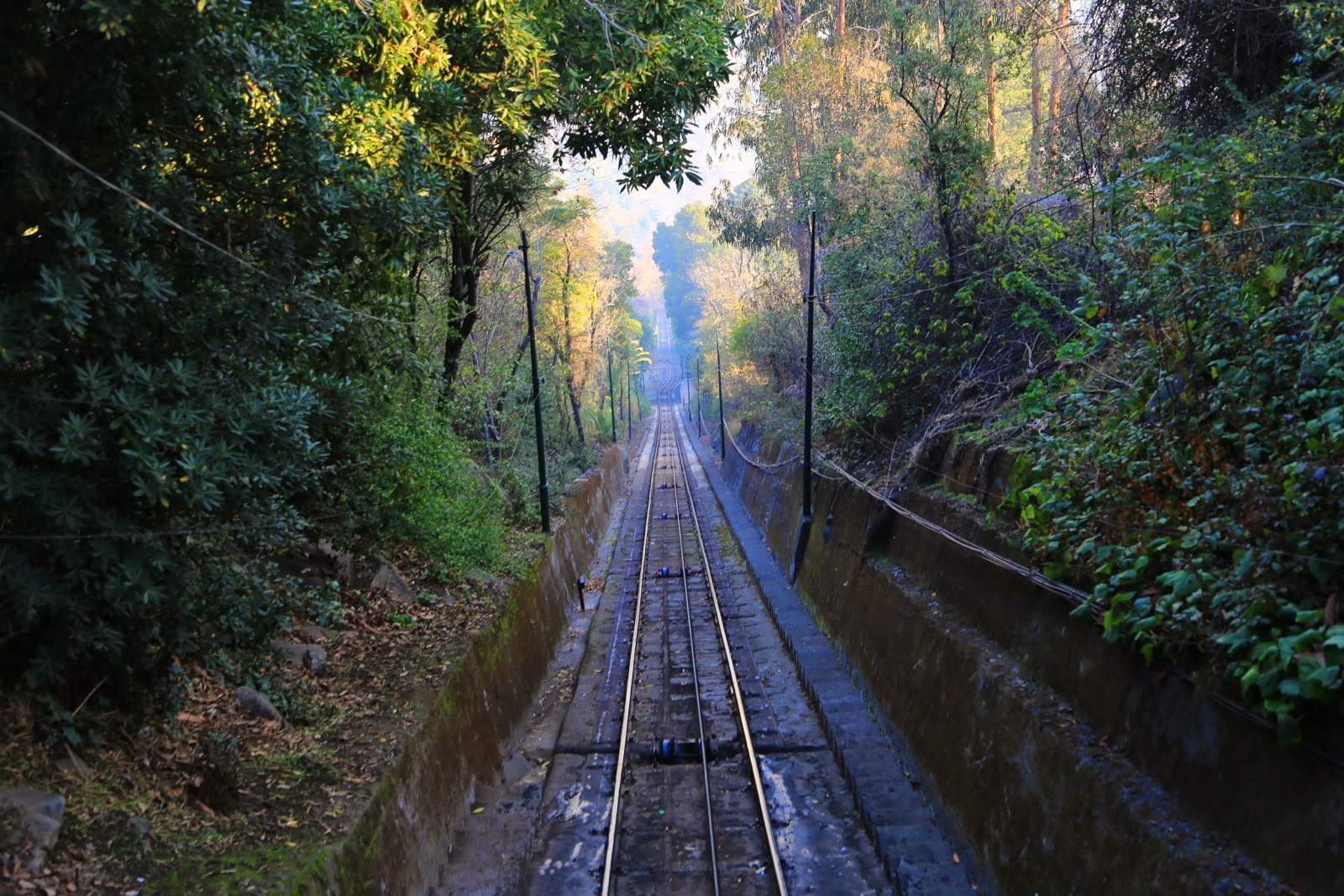 Rails du funiculaire dans les arbres