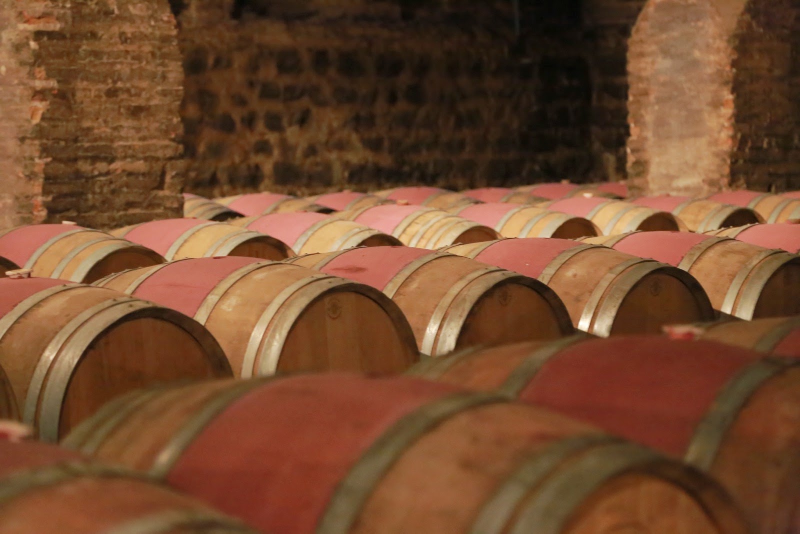 Rangées de barriques