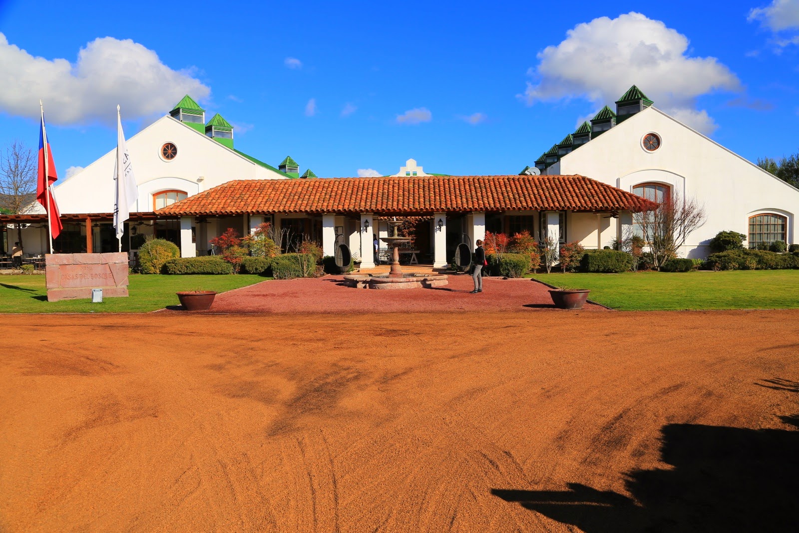 Domaine viticole sous le ciel bleu