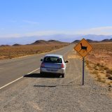 Route droite dans les montagnes du nord-ouest argentin avec un panneau attention aux lamas