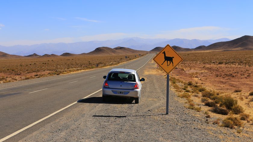 Route droite dans les montagnes du nord-ouest argentin avec un panneau attention aux lamas