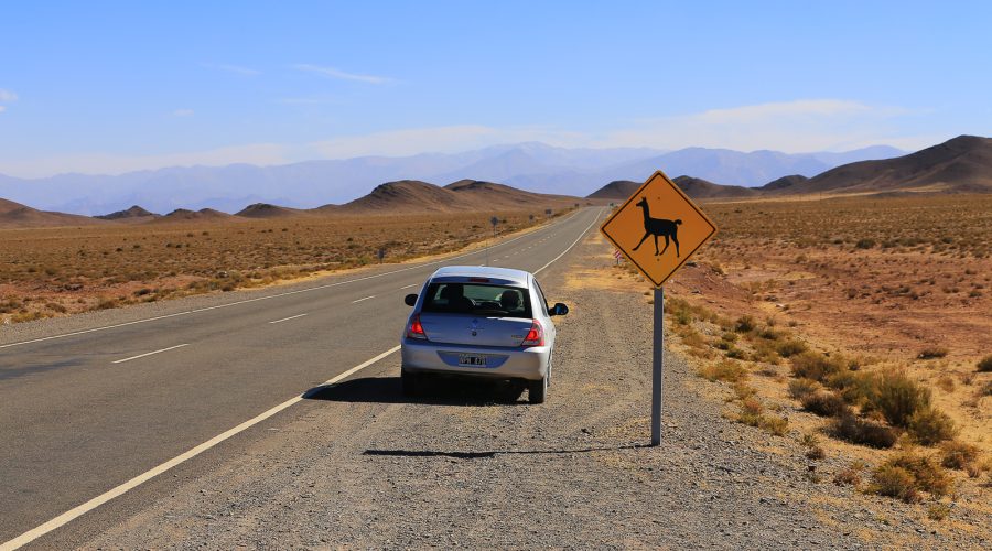 Route droite dans les montagnes du nord-ouest argentin avec un panneau attention aux lamas