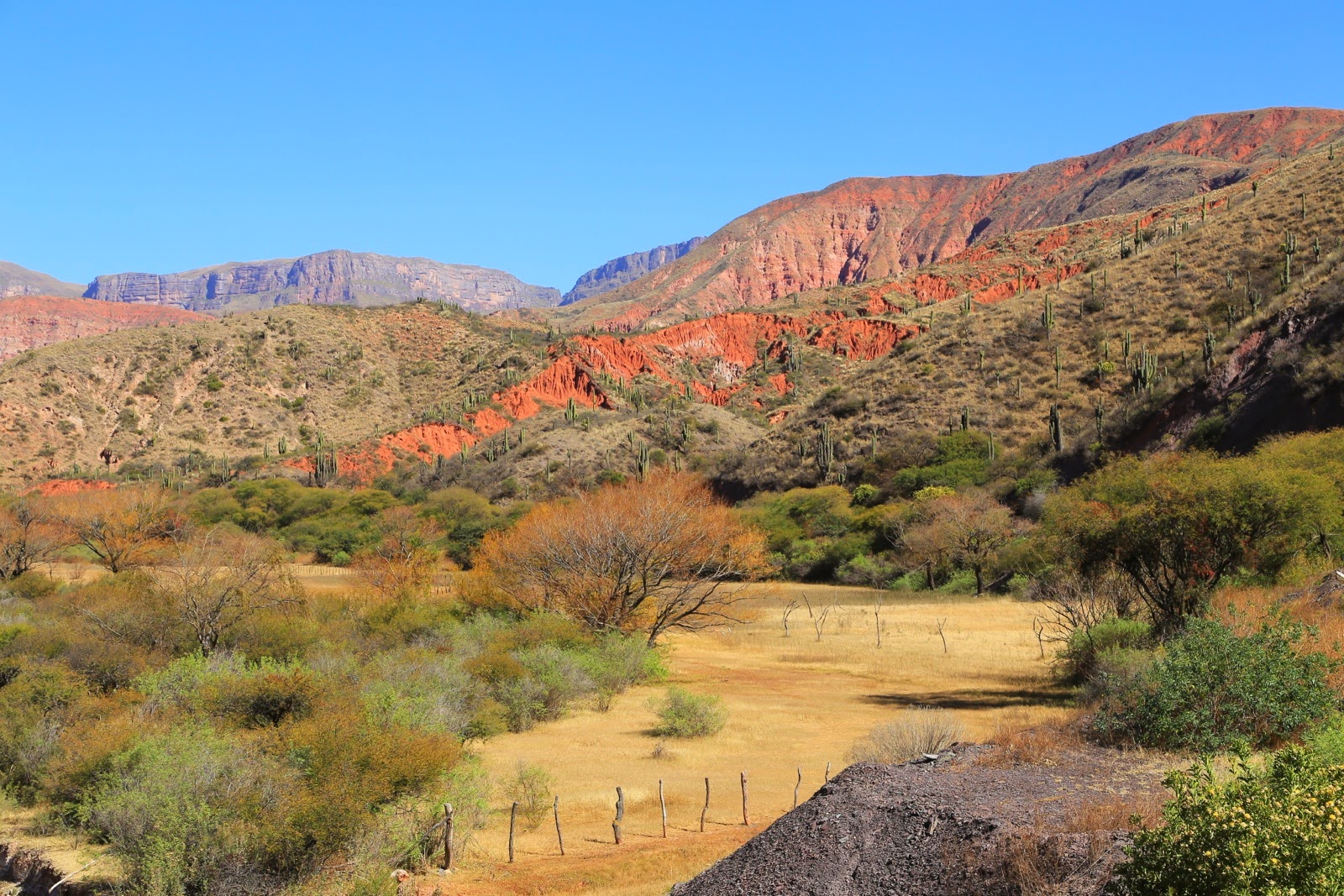 Montagnes rouges et végétation