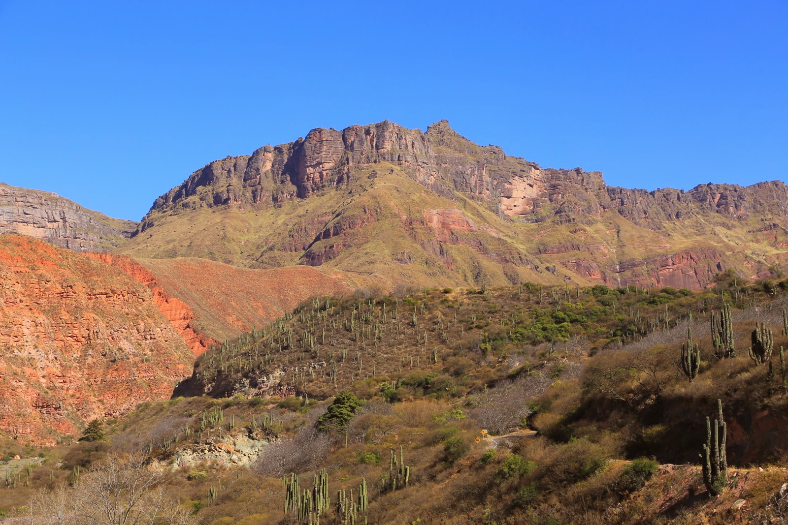 Montagnes ocre et rouges