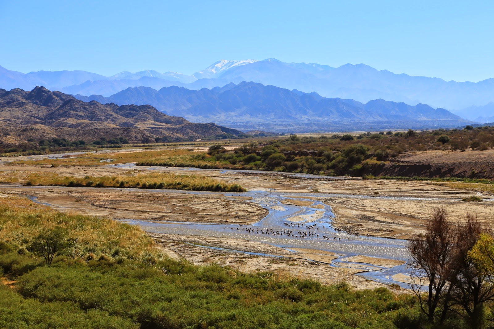 Rivière et montagnes enneigées