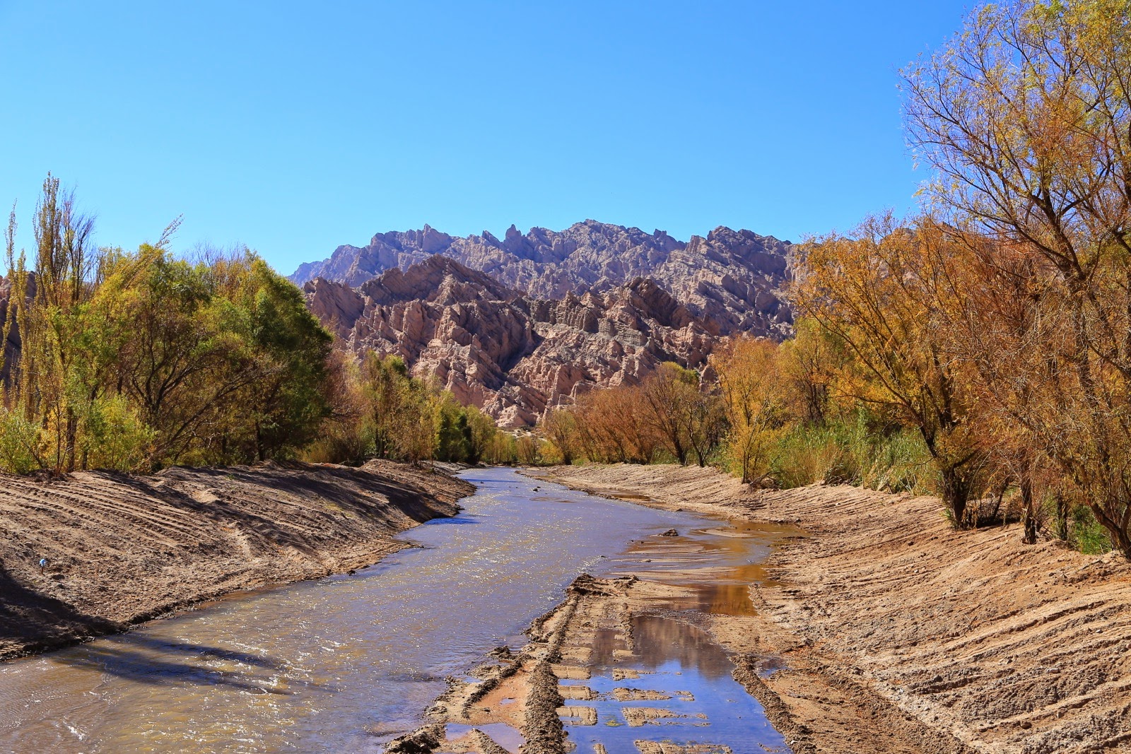 Rivière bordée d’arbres