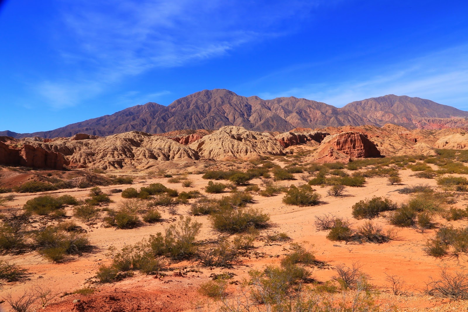 Paysage de western