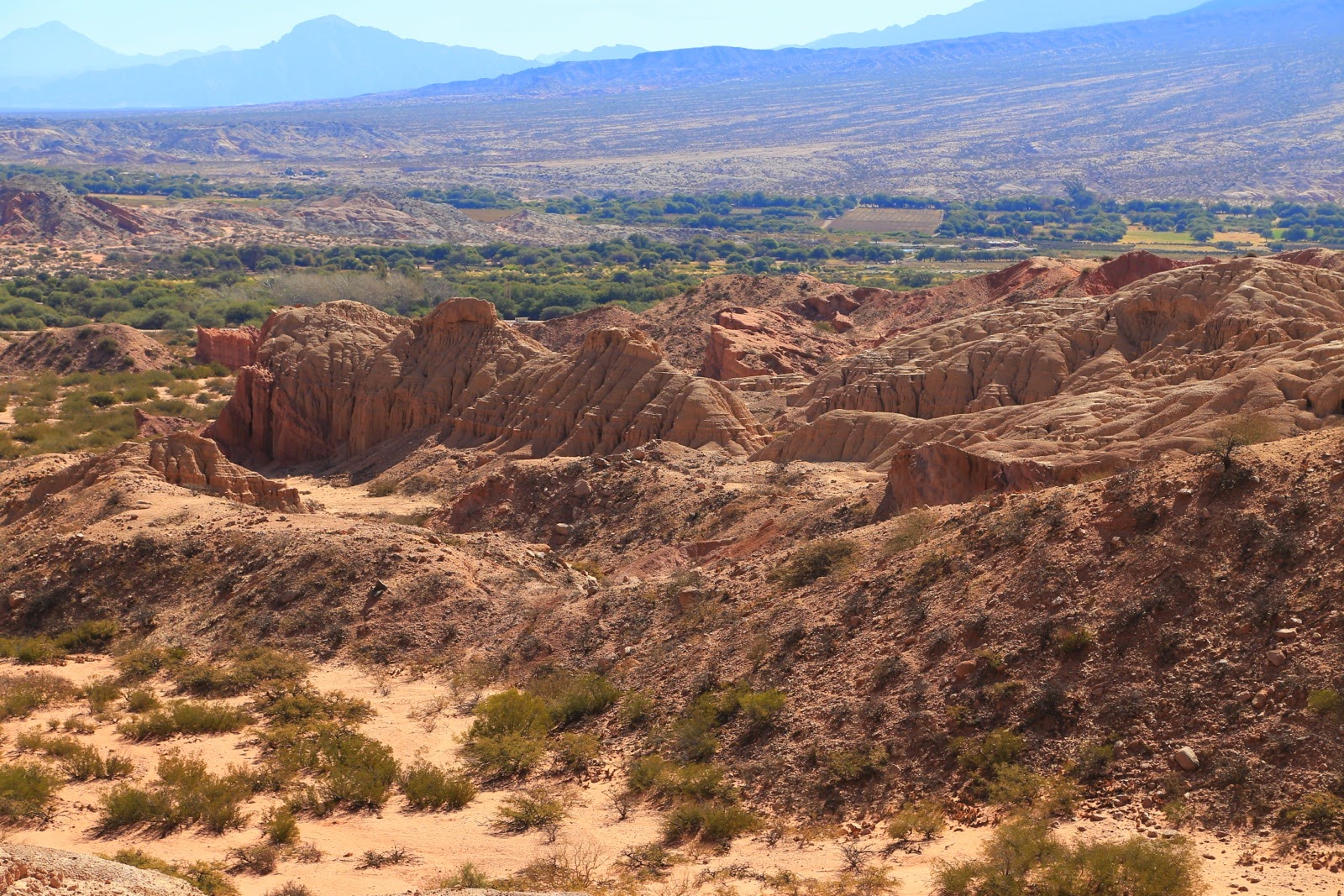 Vue sur la vallée de Cafayate