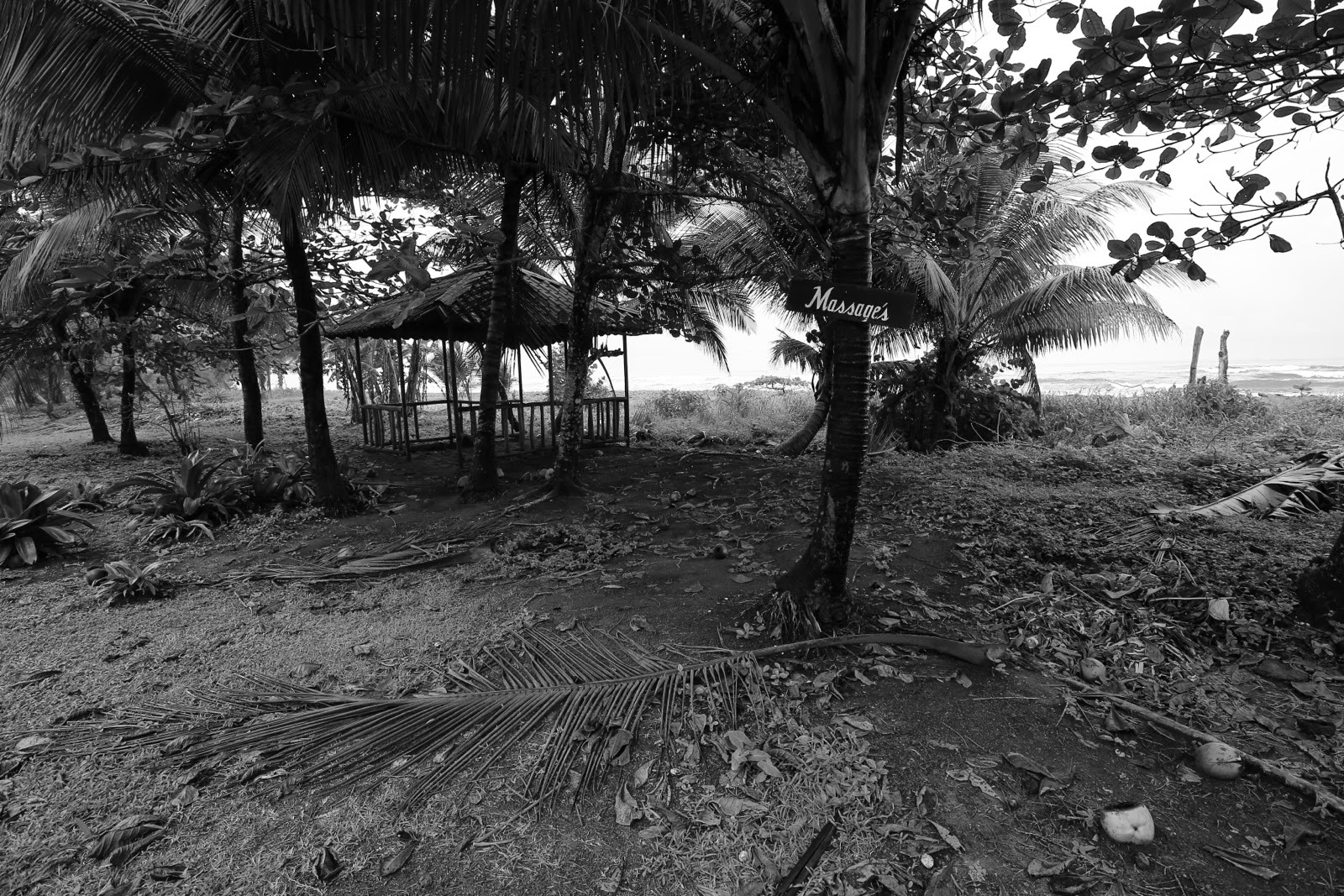 La plage de sable noir de Tortuguero, en noir et blanc