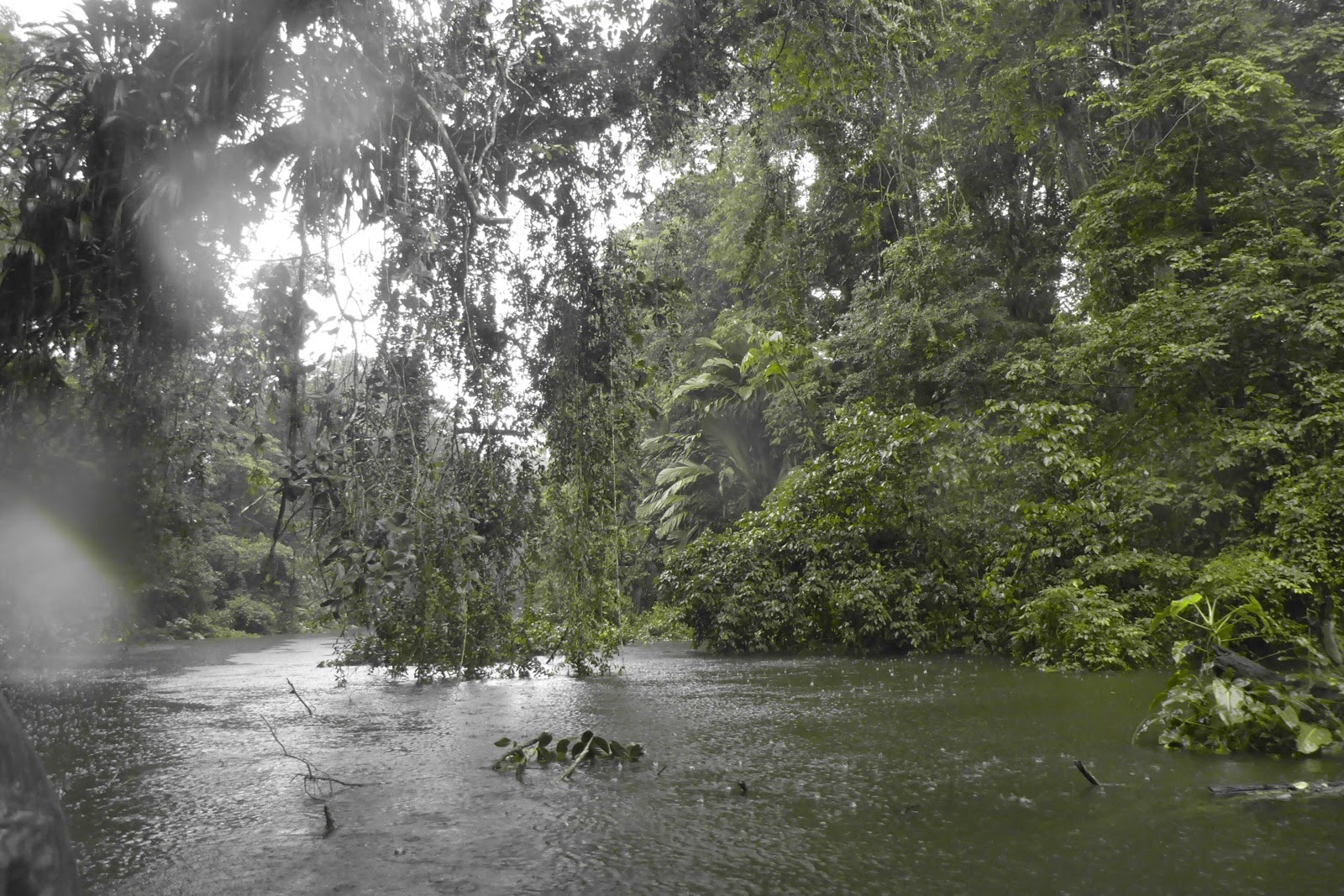 La pluie tombe sur la lagune de Tortuguero