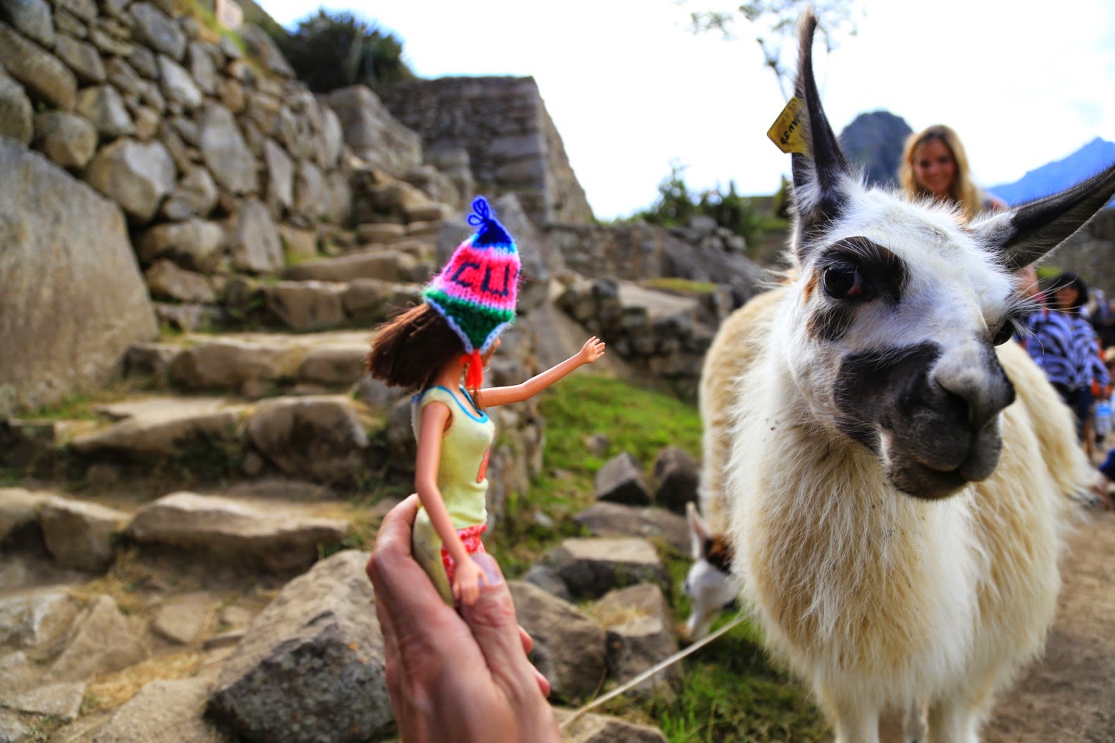 Séance photo de Barbie avec un lama