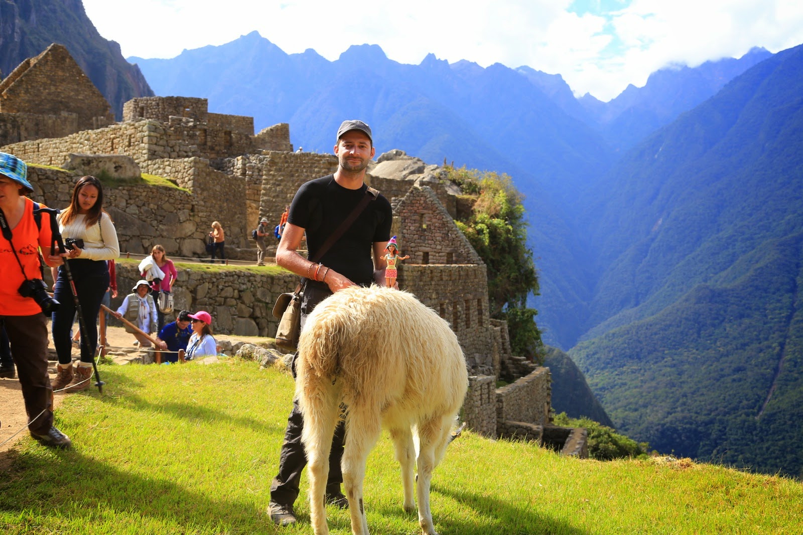 Lama sur l’esplanade parmi les visiteurs