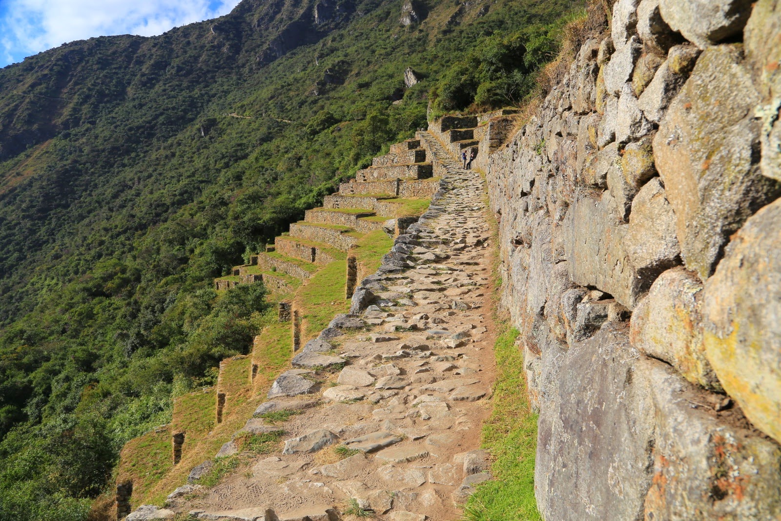 Terrasses incas et chemin dallé au bord de la citadelle