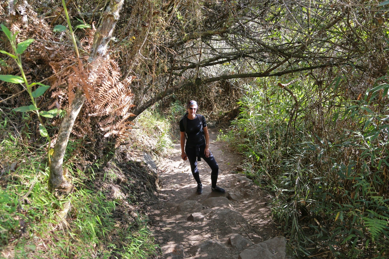 Sentier dans la végétation au début de l’ascension