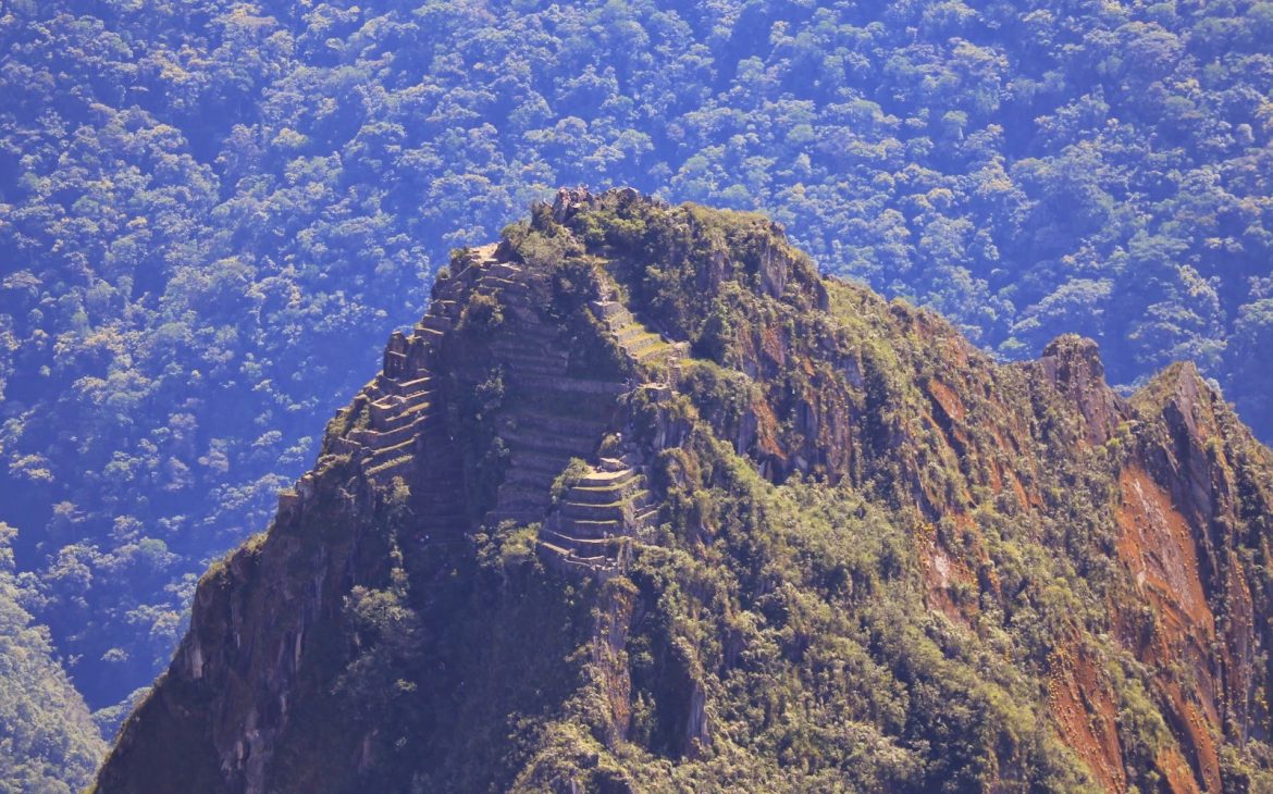Le Wayna Picchu et la citadelle inca vus du sommet de la Montaña Machu Picchu