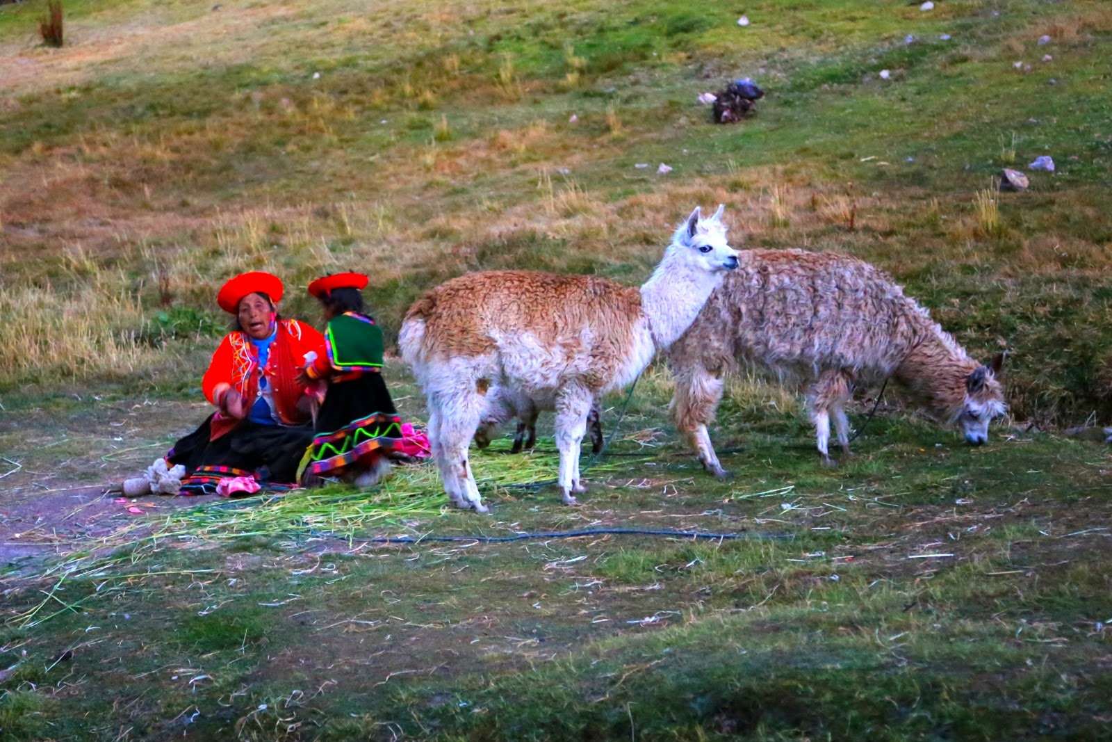 Lamas et femme en habit traditionnel