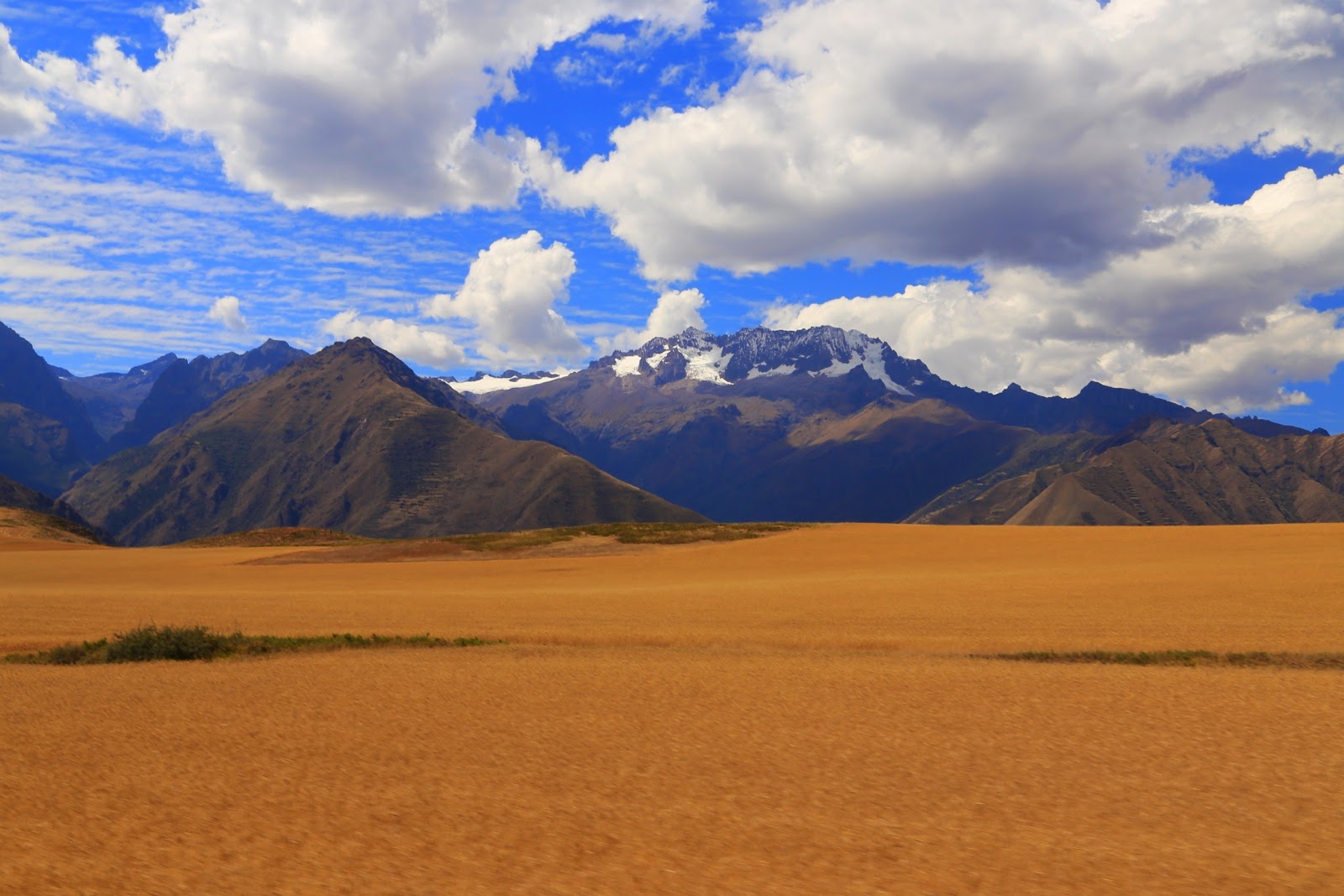 Champs et montagnes enneigées