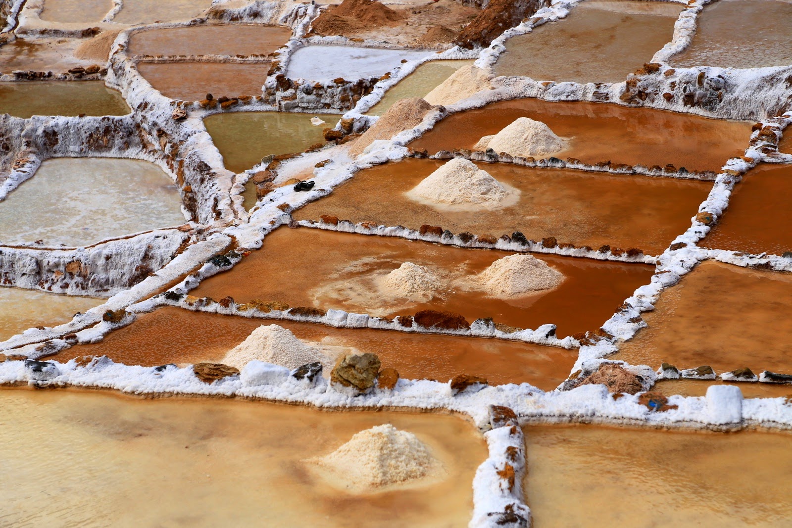Carrés de sel en évaporation
