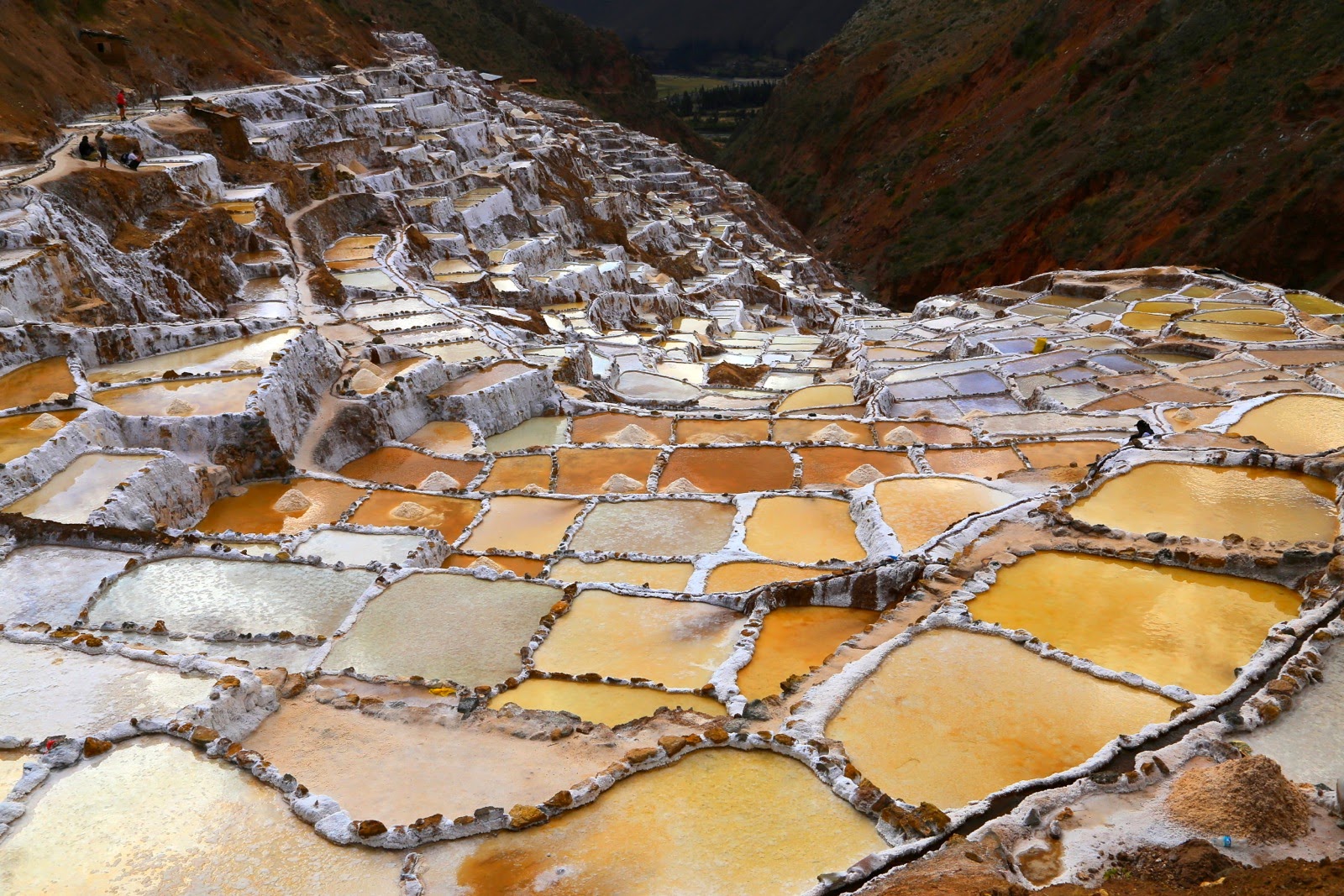 Dégradé de couleurs des bassins