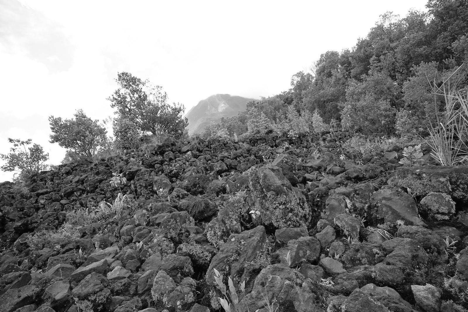 Les blocs de lave figée au pied de l’Arenal