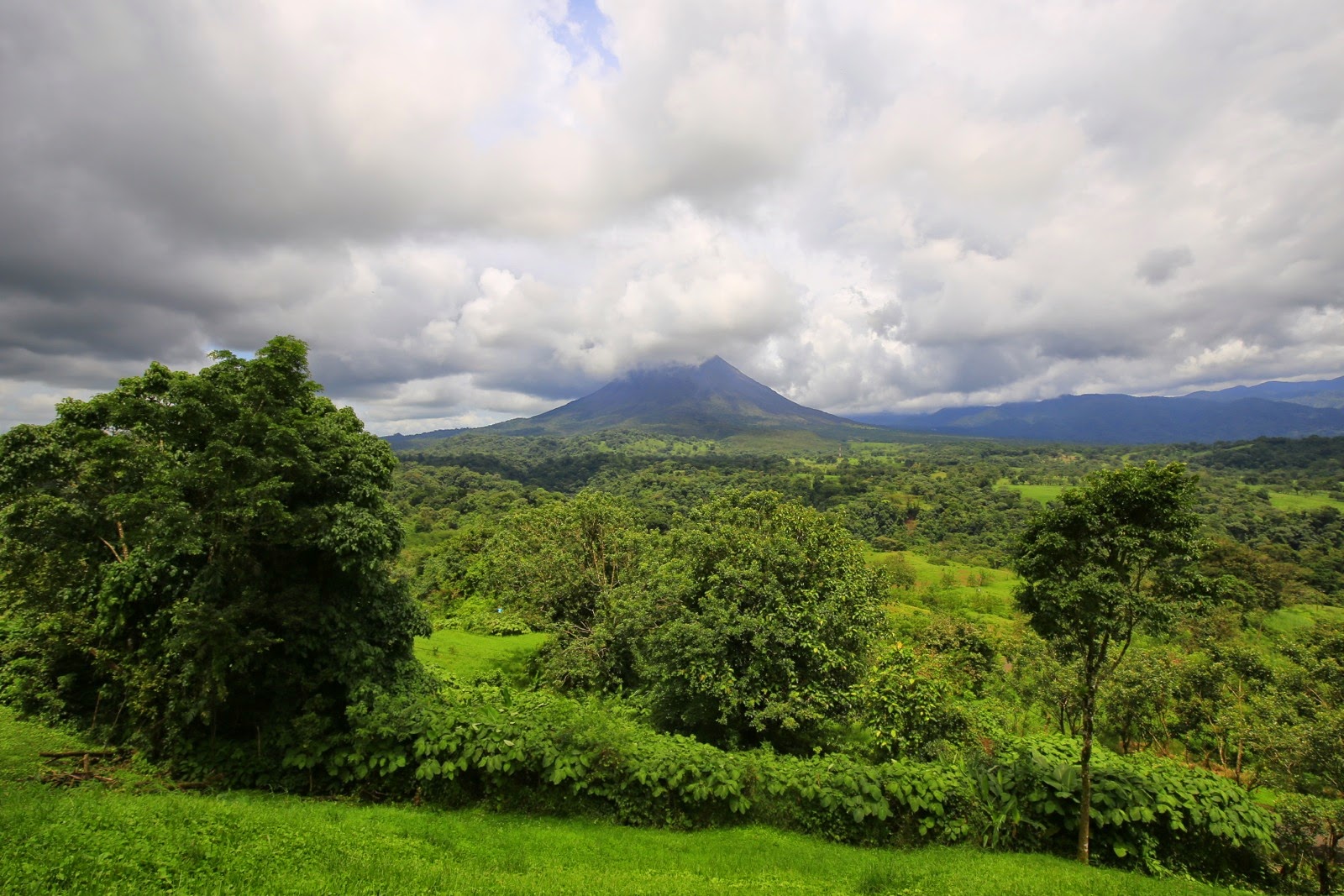 Collines verdoyantes au pied du volcan Arenal